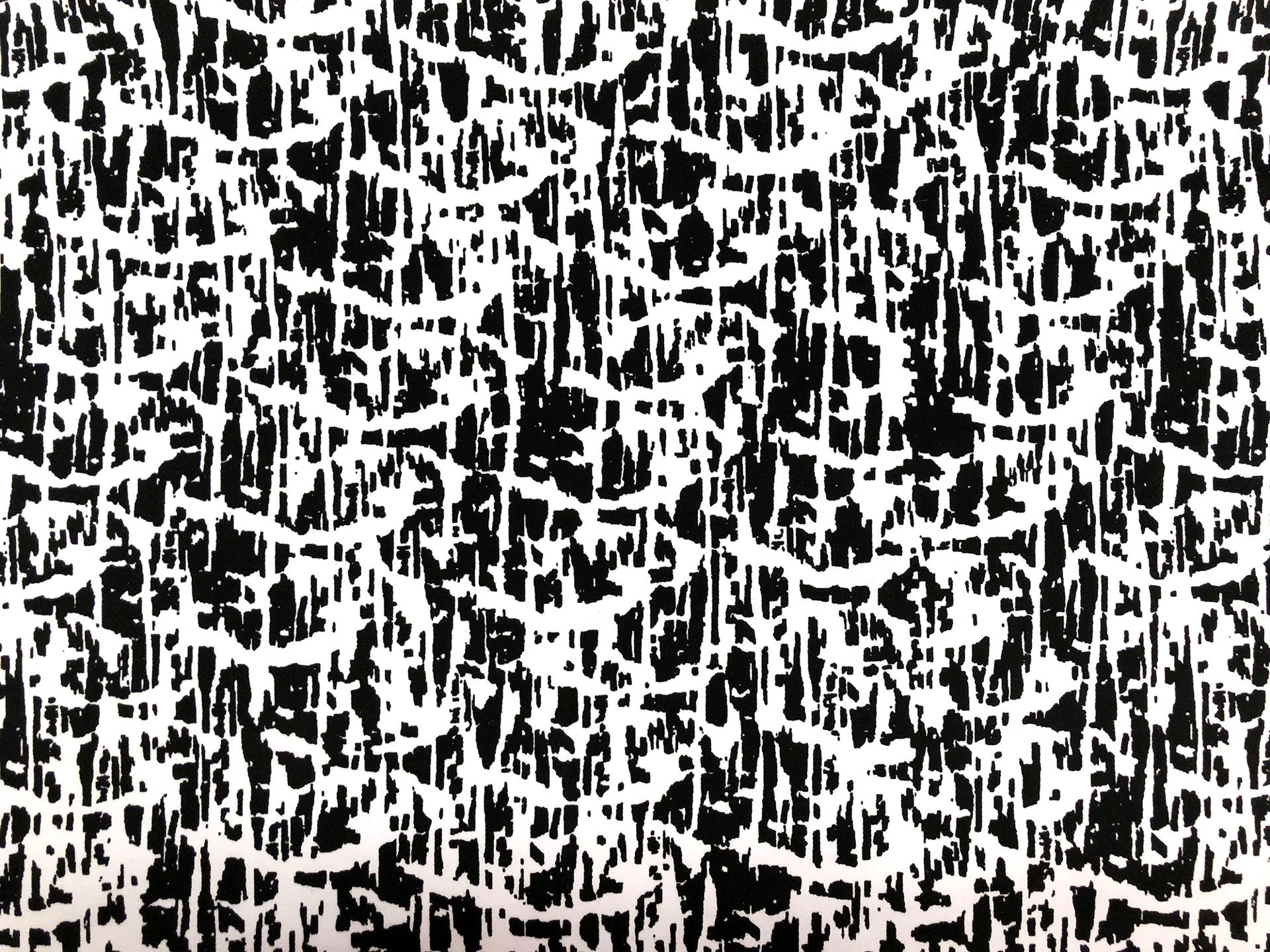 Designer Black and White Cotton Heavy Sateen Print0