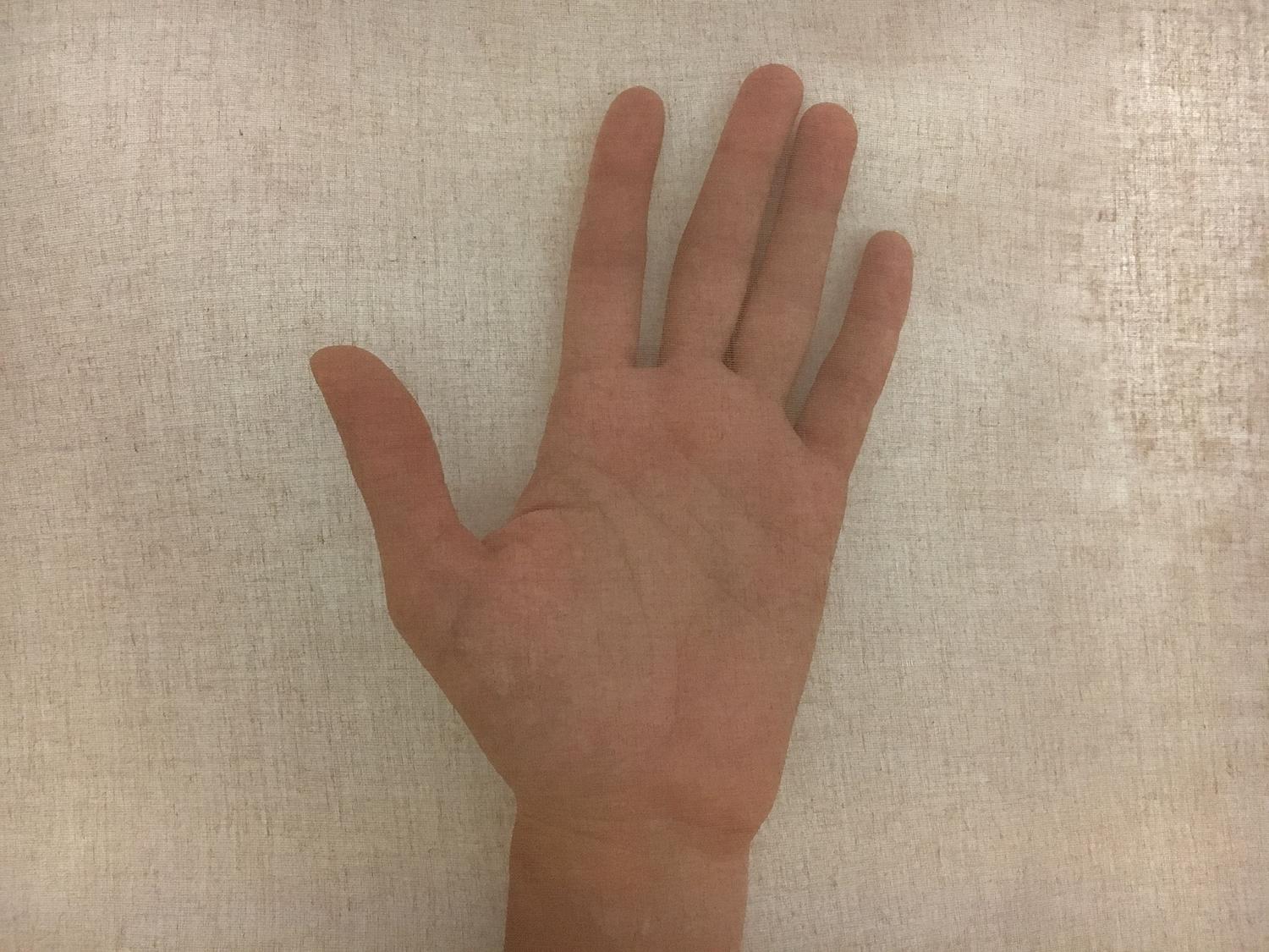 Swiss Cotton Organdy in Copper 1