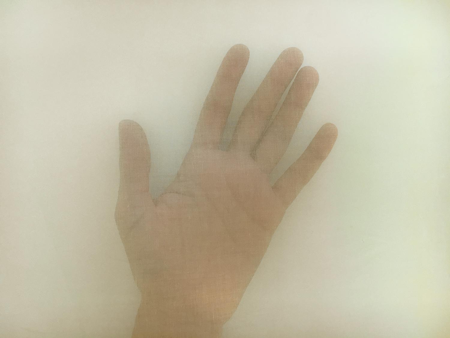 Swiss Cotton Organdy in Yellow1