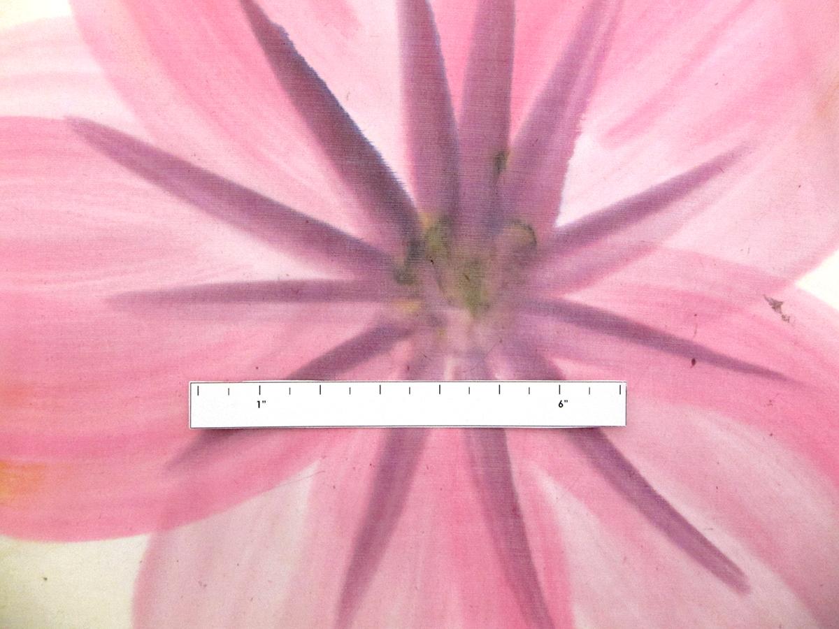 Hand Painted Silk Chiffon2