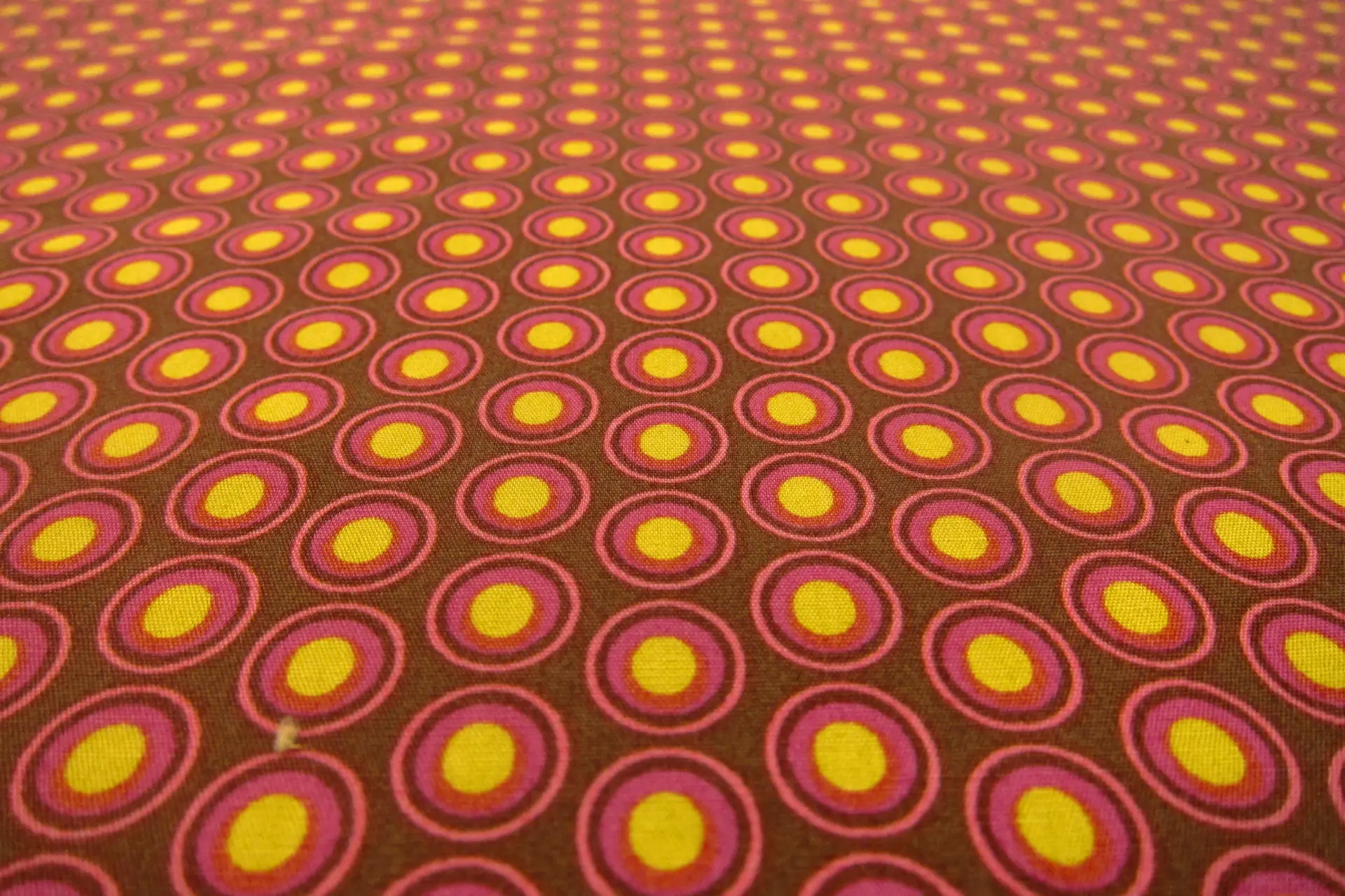 Cotton Broadcloth Print2