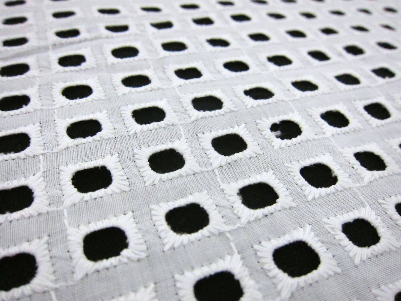 Cotton Eyelet in White2