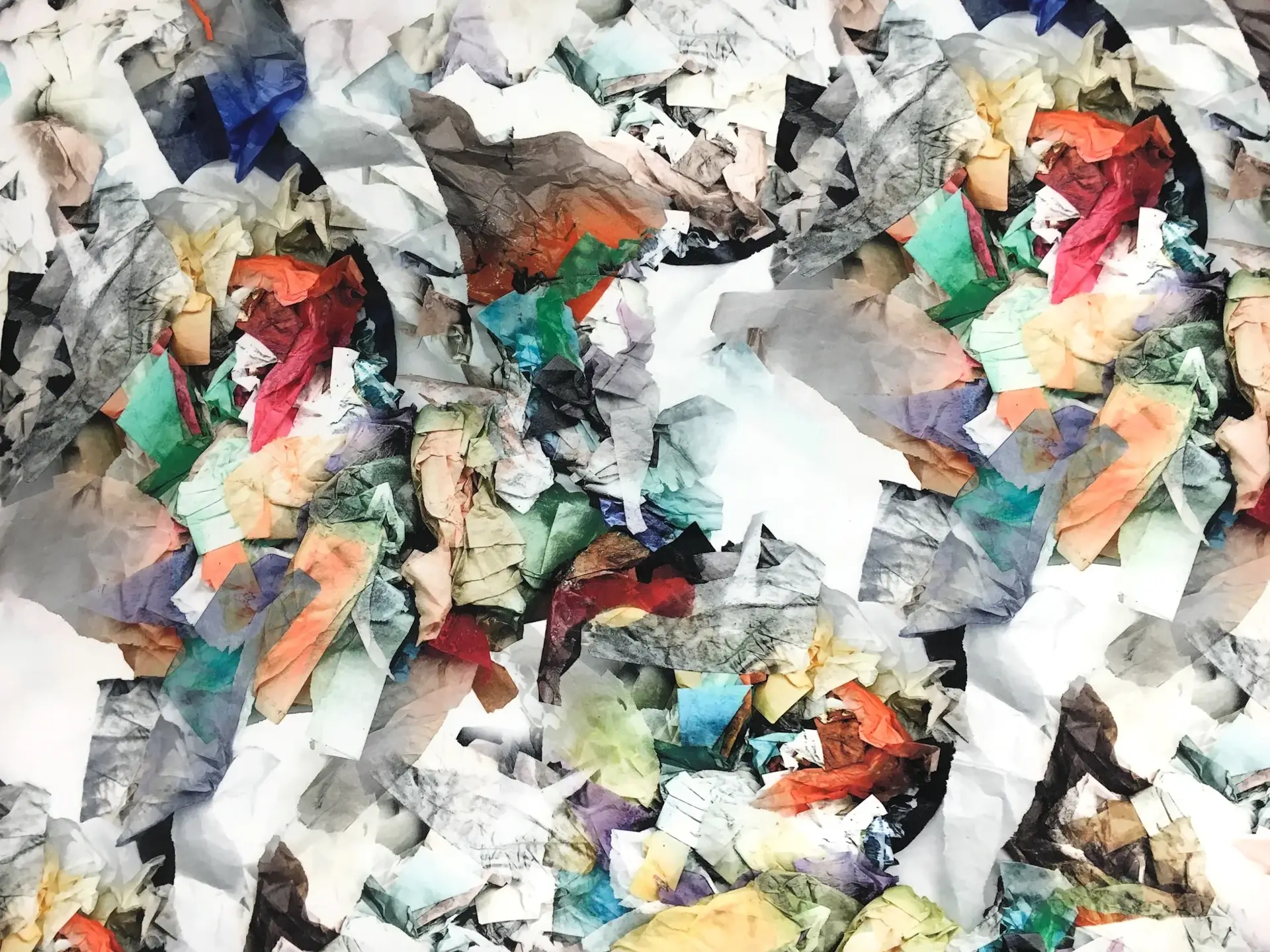 Printed Silk Organza0