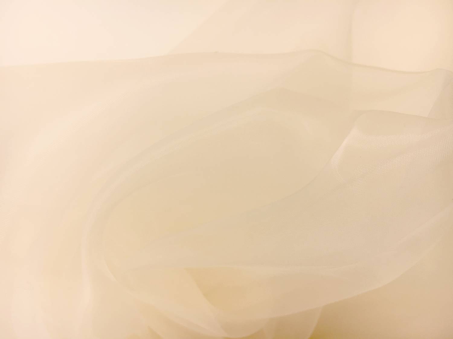 Japanese Polyester Extra Fine Organza in Cream0