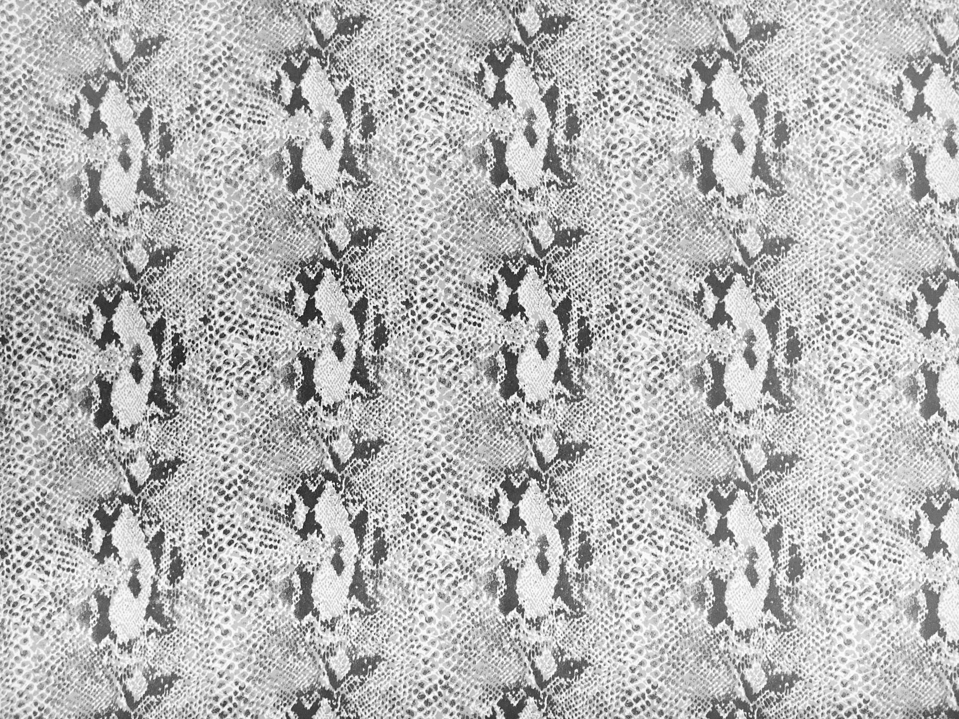 Printed Silk Chiffon0