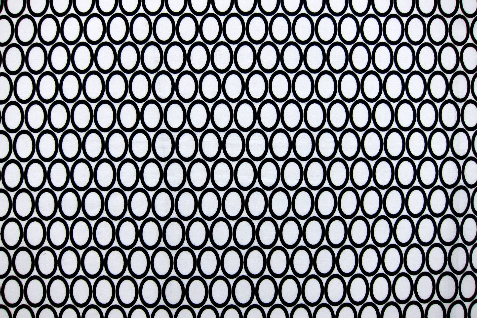 Cotton Broadcloth Print0