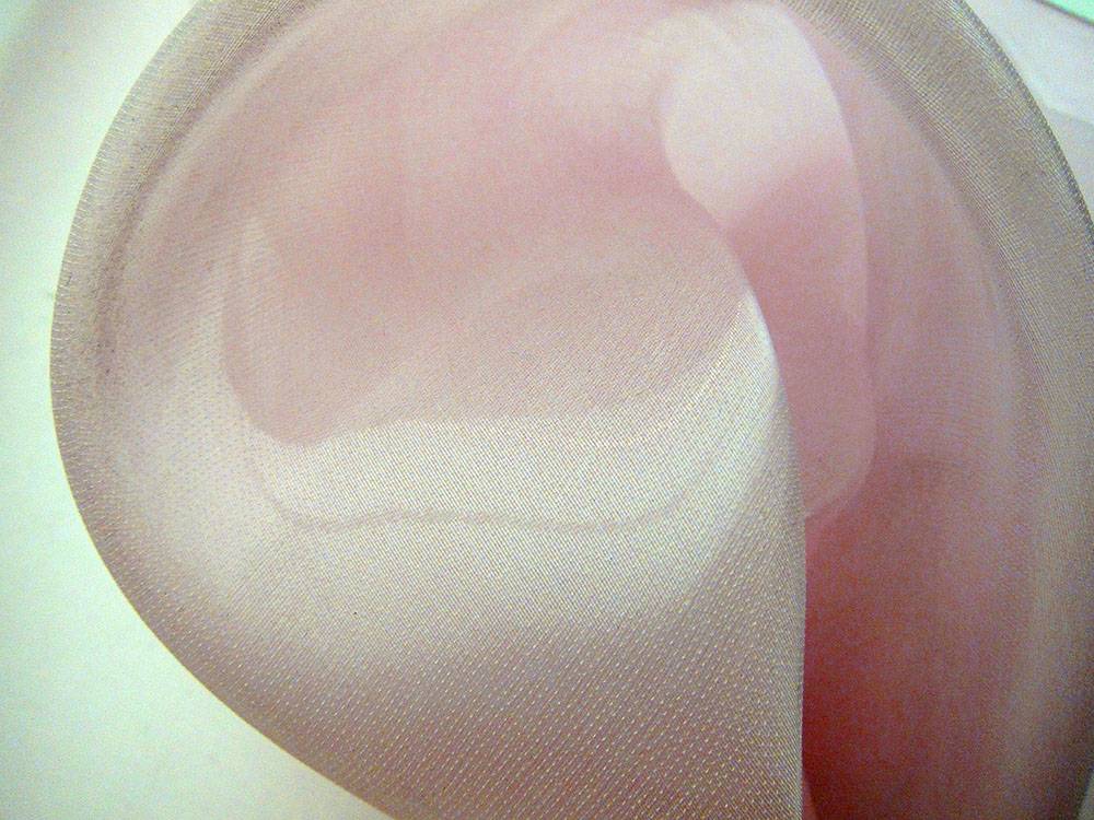 Silk Blend Liquid Look Organza0