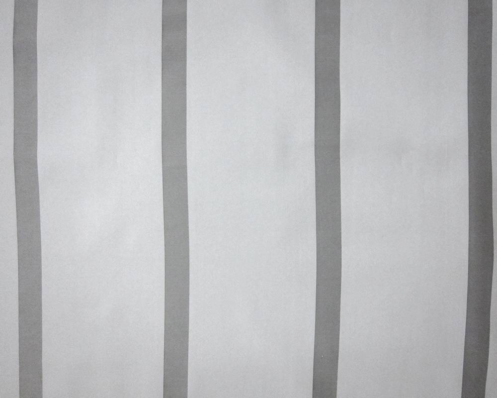 Silk Organza Satin Stripe0