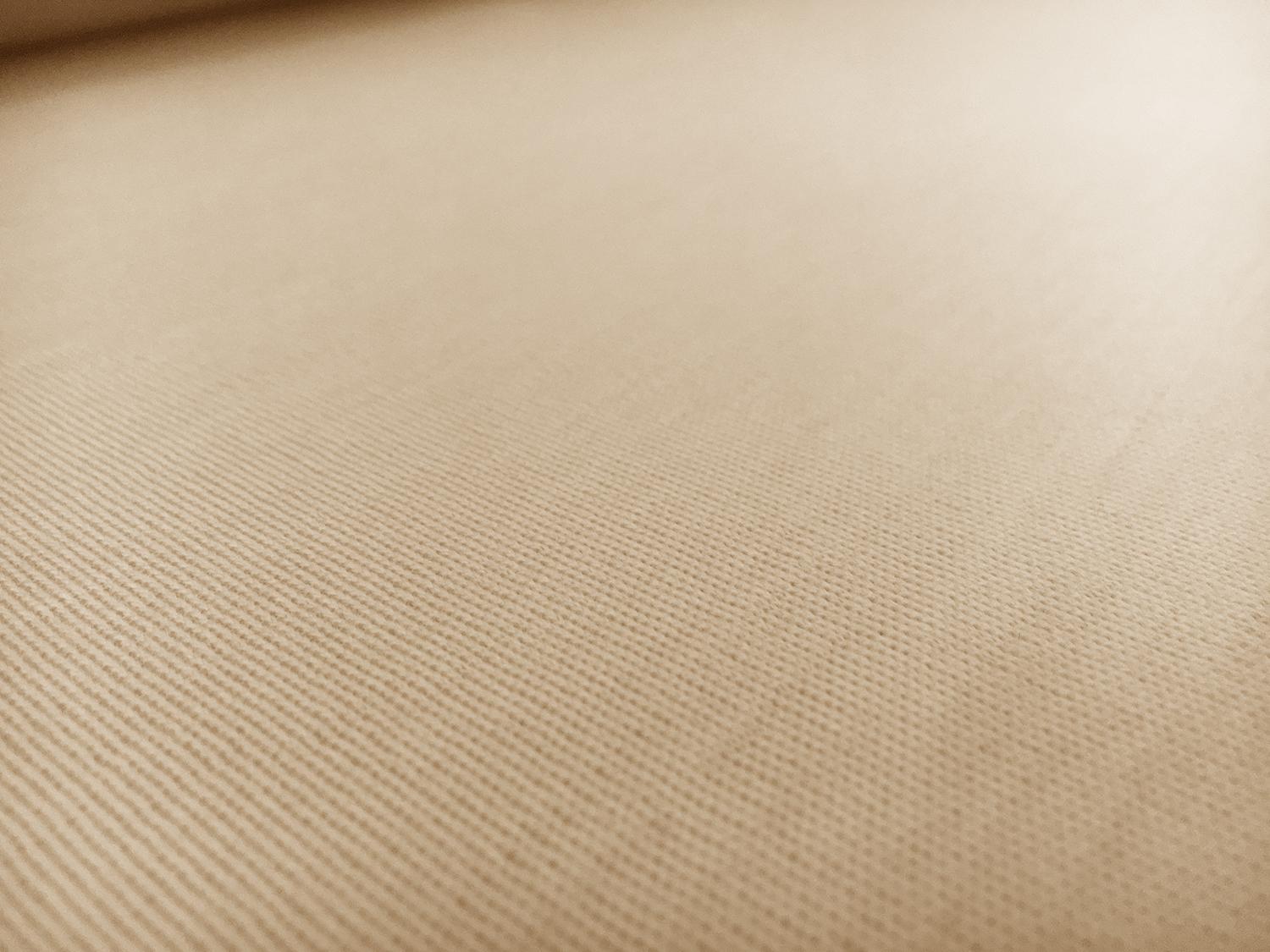 Austrian Virgin Wool Double Knit in Nude2