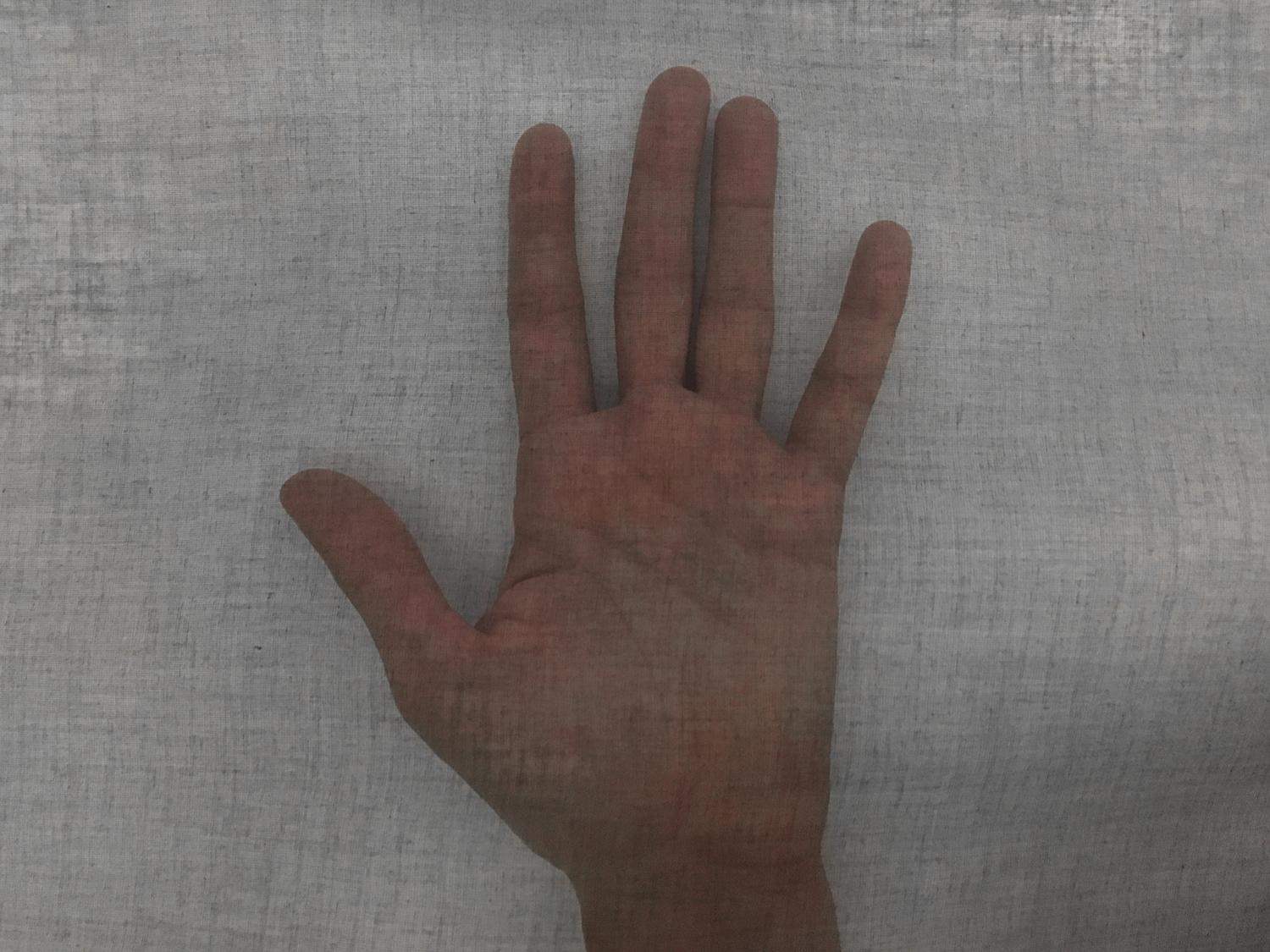 Swiss Cotton Organdy in Black1