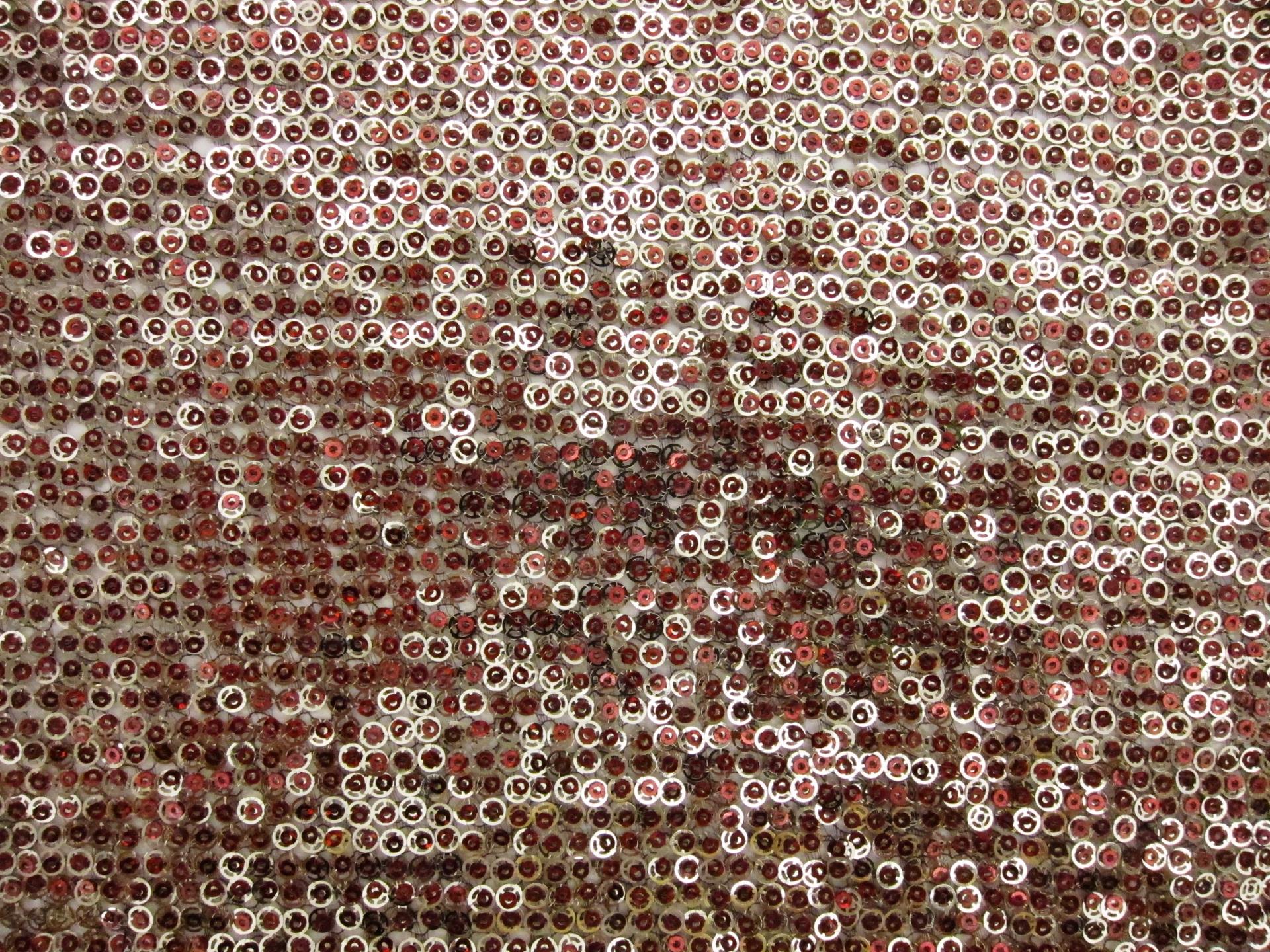 Layered Sequins on Novelty Mesh0