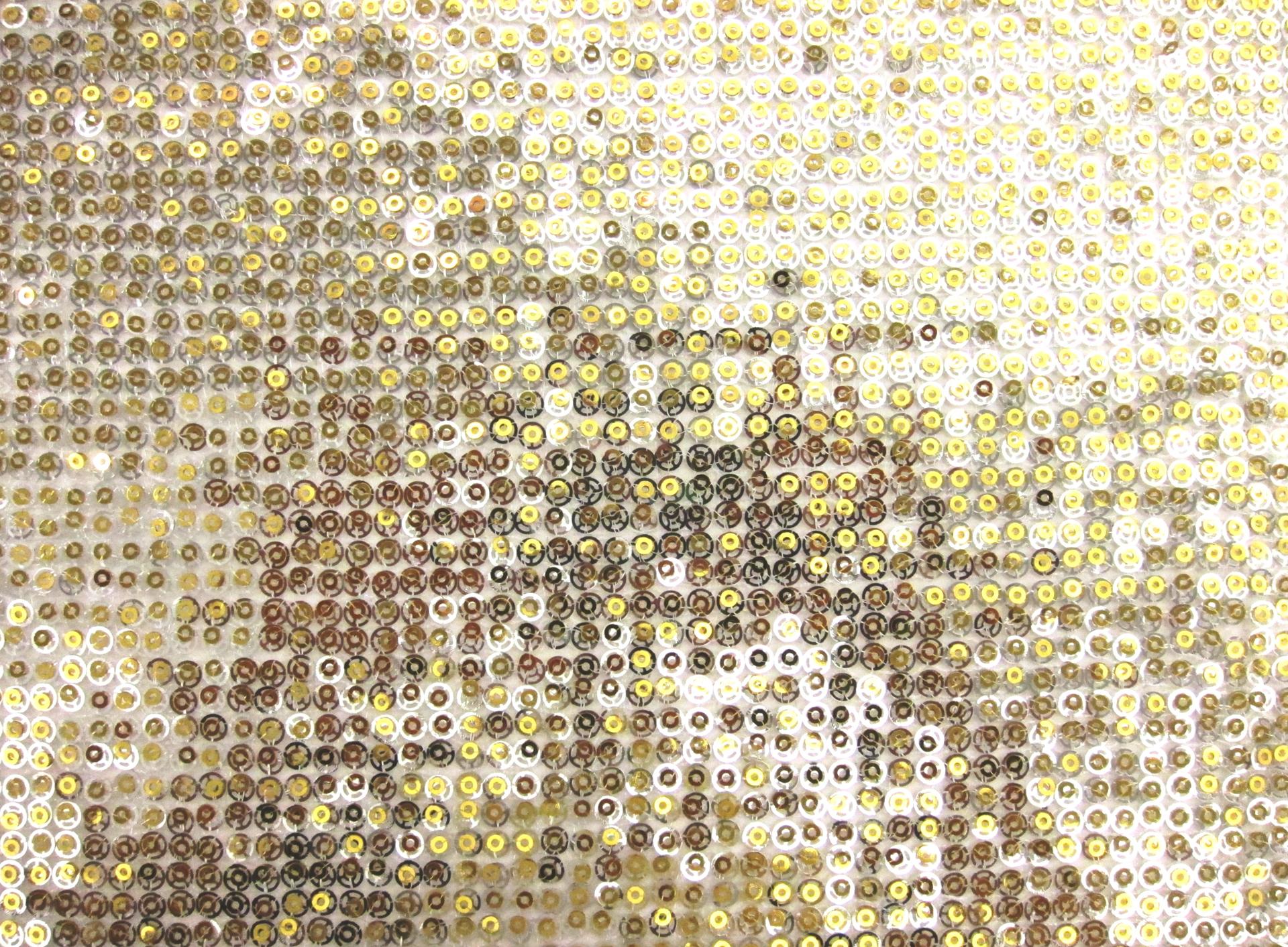 Layered Sequins on Novelty Mesh0