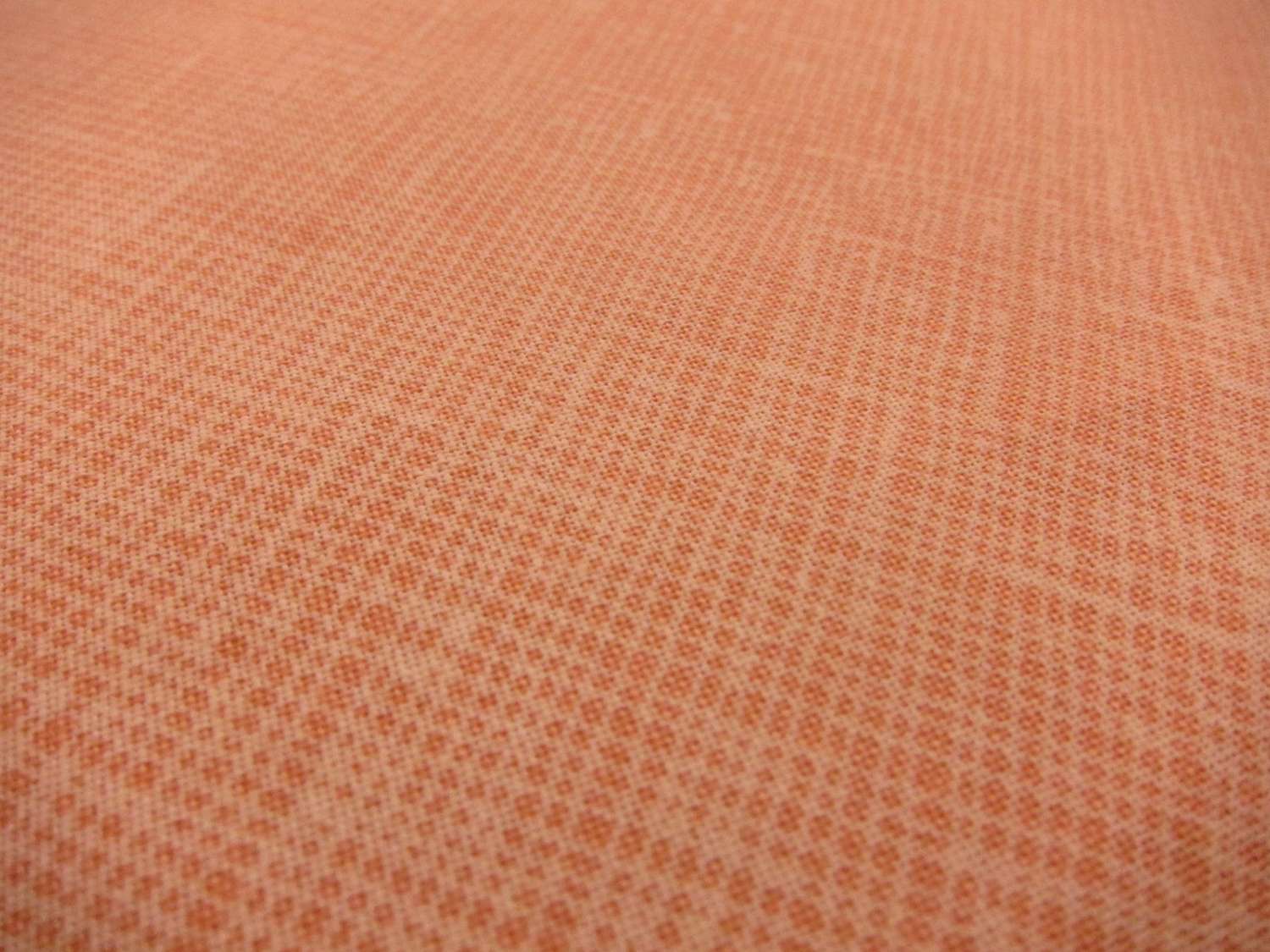 Cotton Broadcloth Print 0