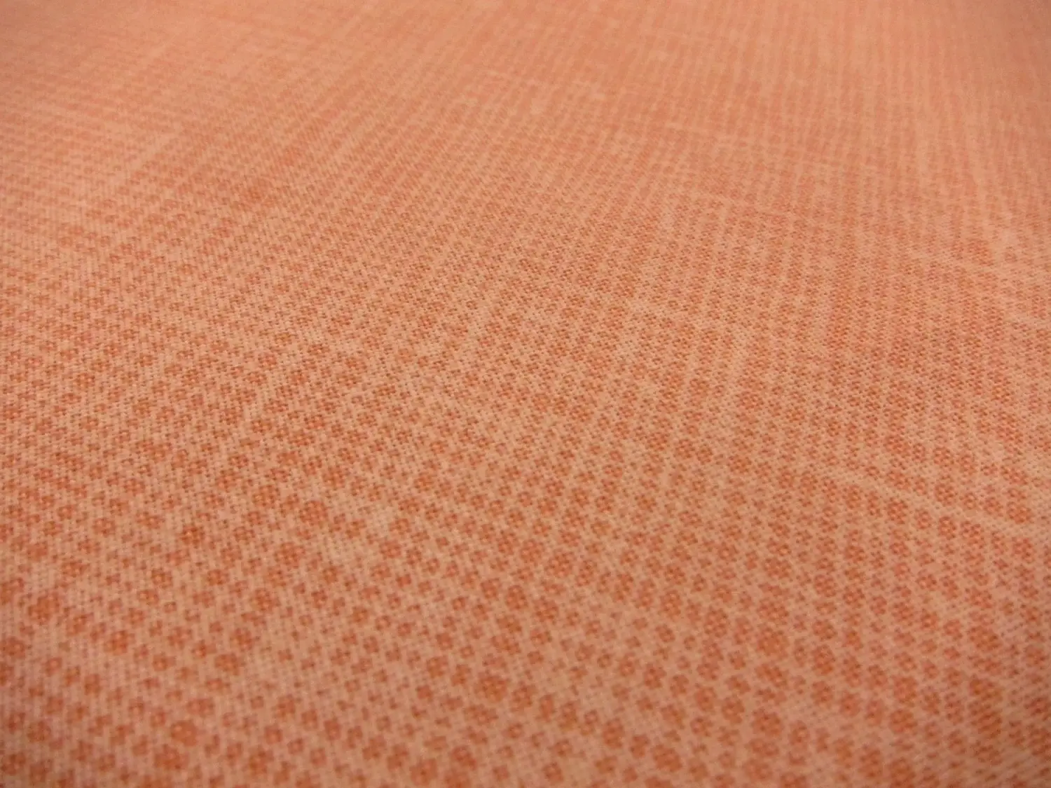 Cotton Broadcloth Print 0