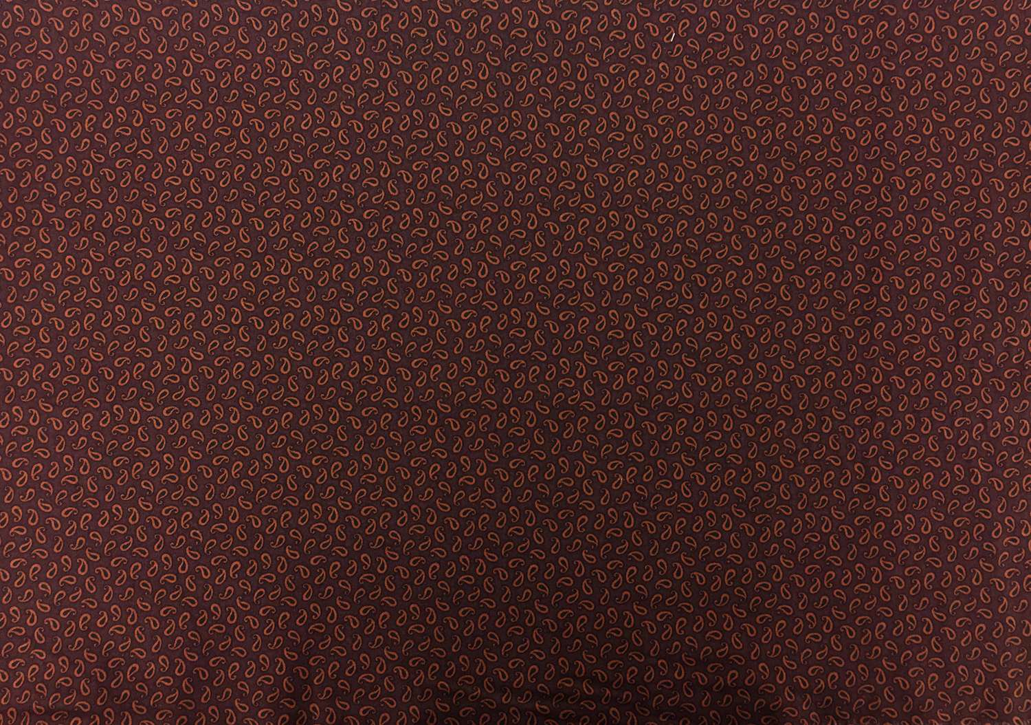 Cotton Print With Paisley Drop Pattern0