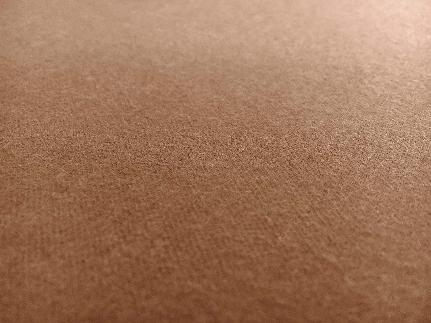 Japanese Extra Fine Cotton Flannel in Camel0