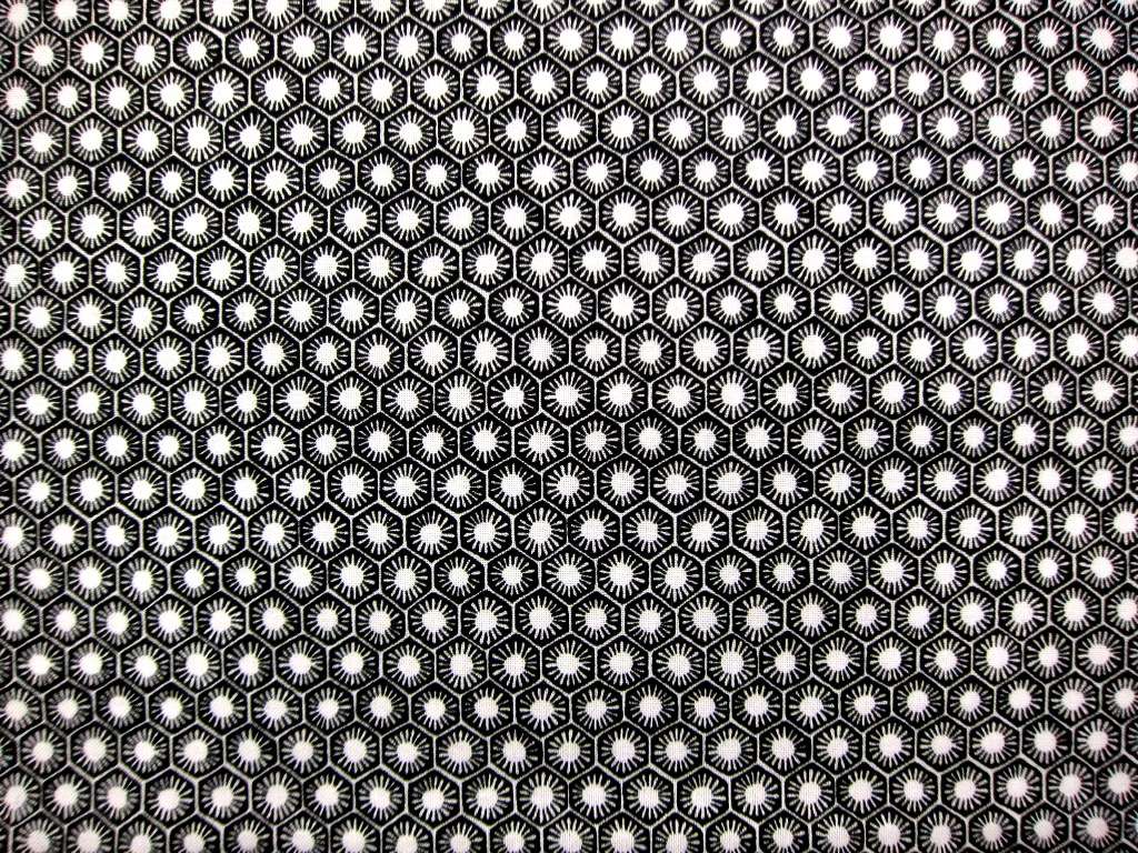 Cotton Broadcloth Print0
