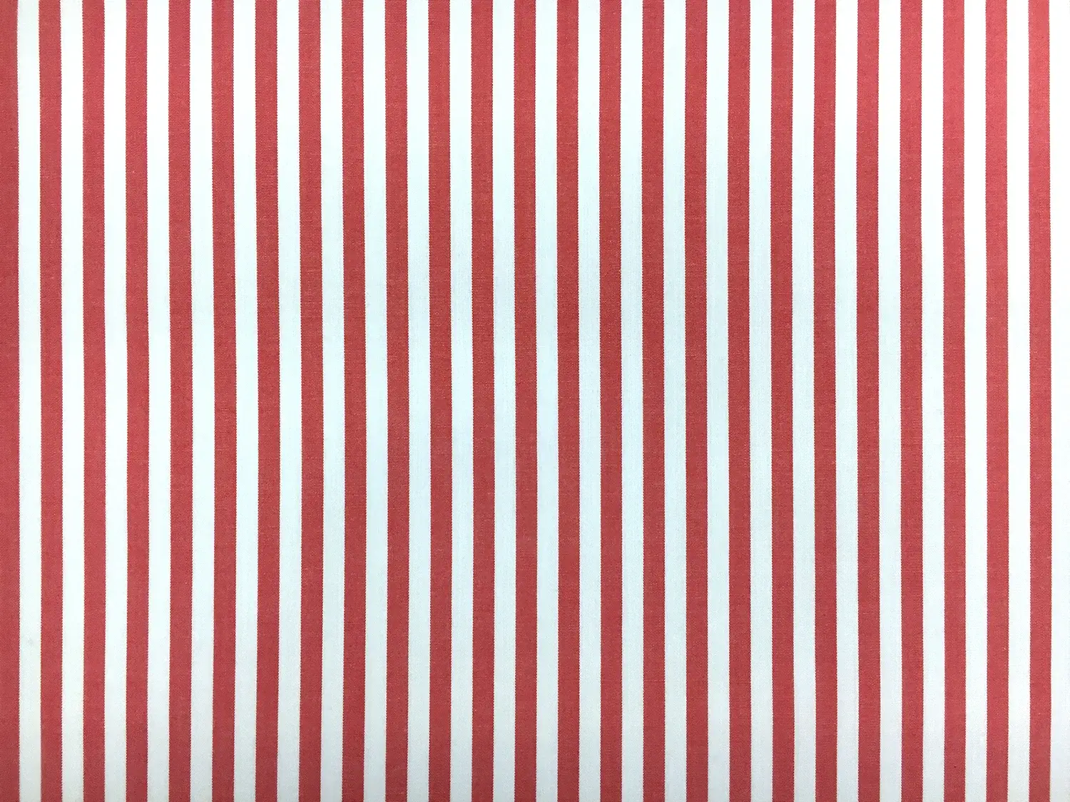 Pima Cotton Shirting Stripe in Red0