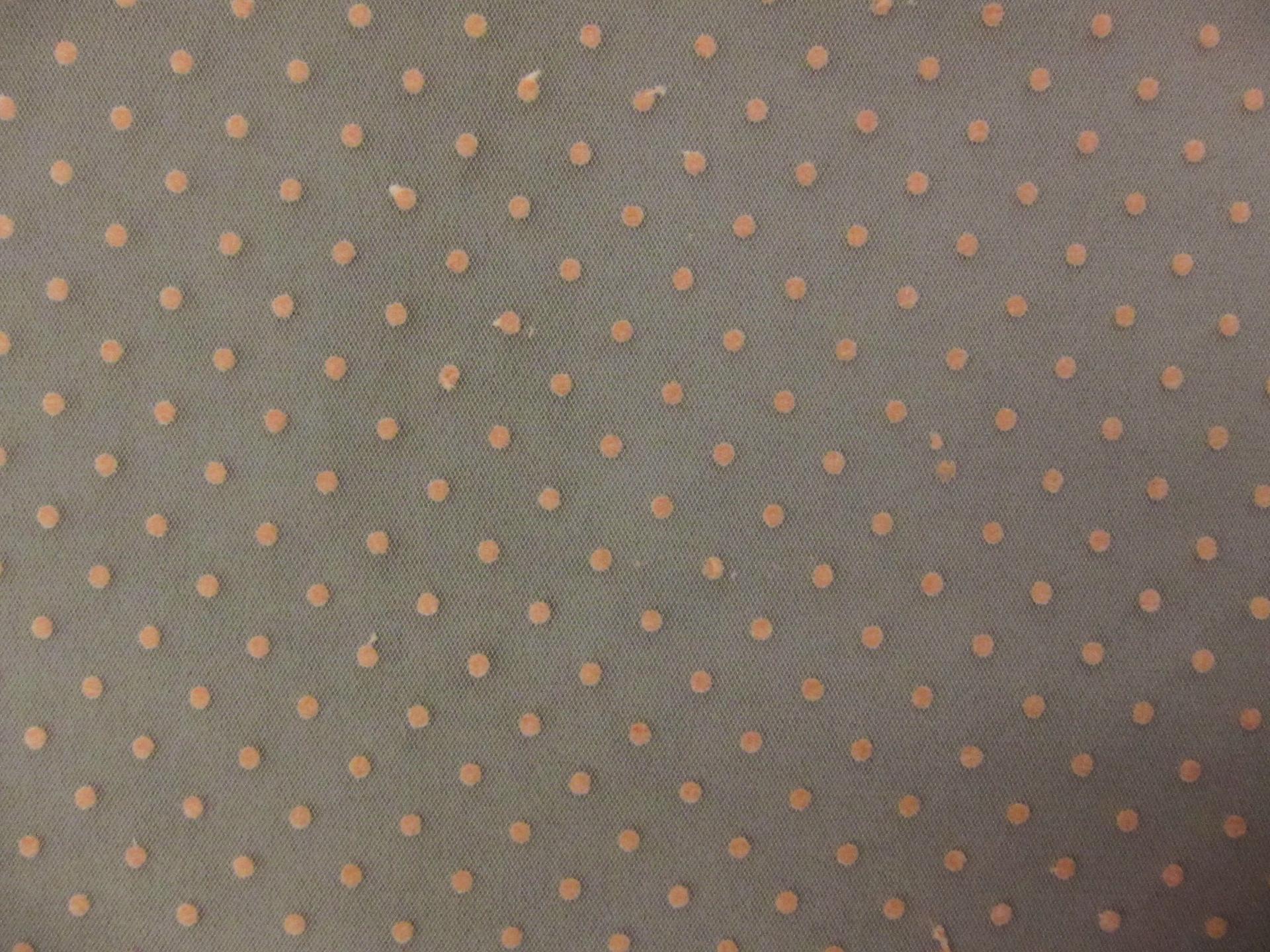 Flocking on Tulle1