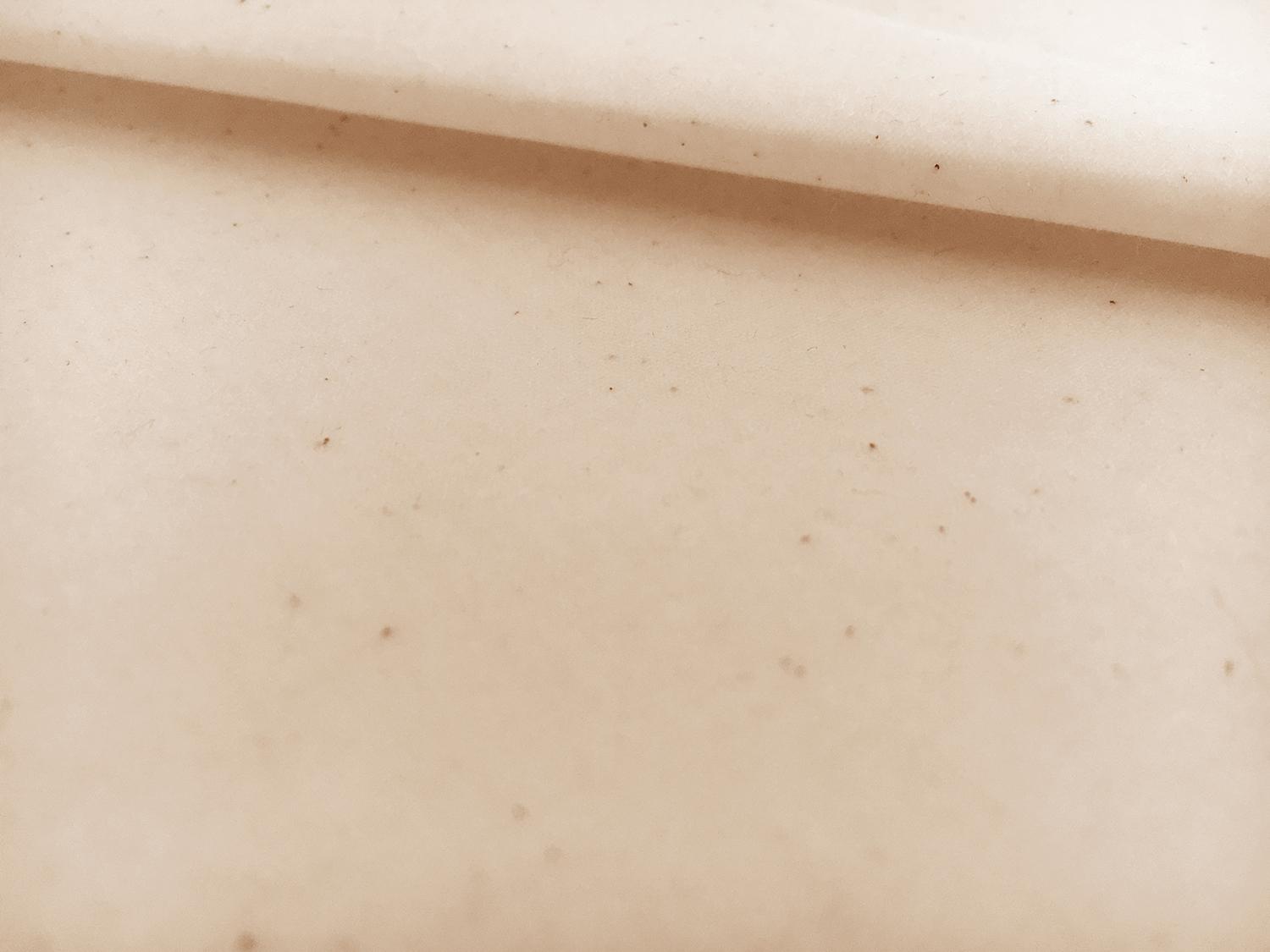 6.25oz Cotton Wax Cloth in Natural