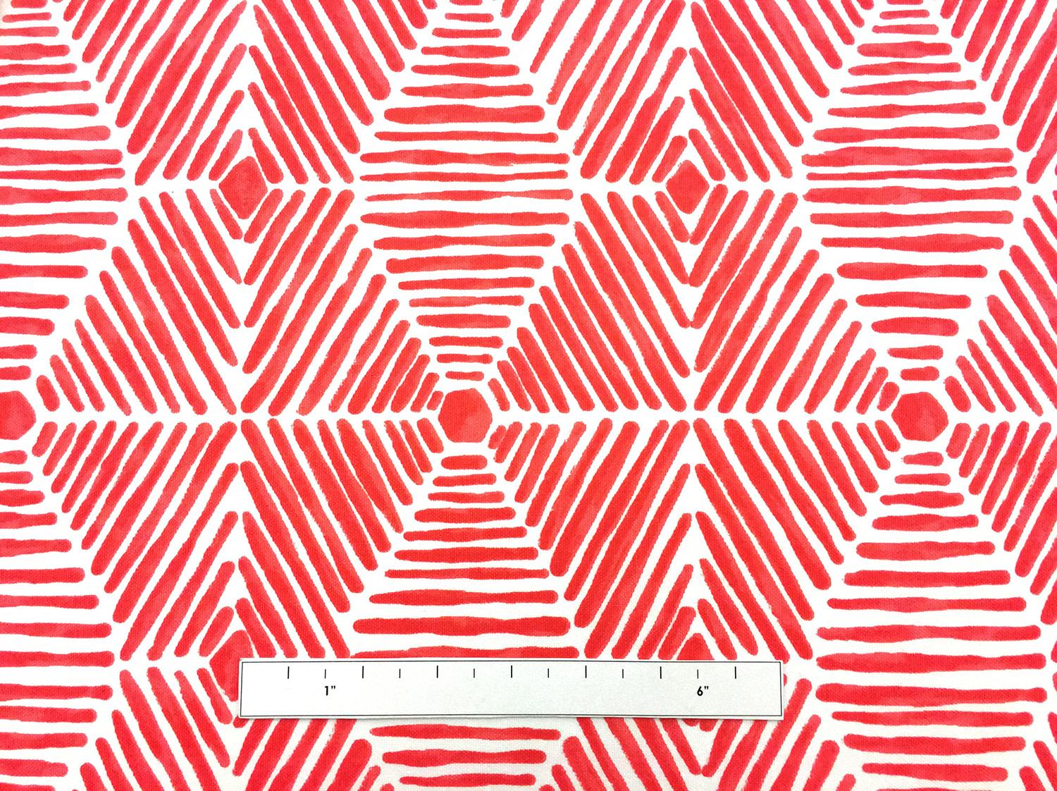 Outdoor Heni Canvas Print1