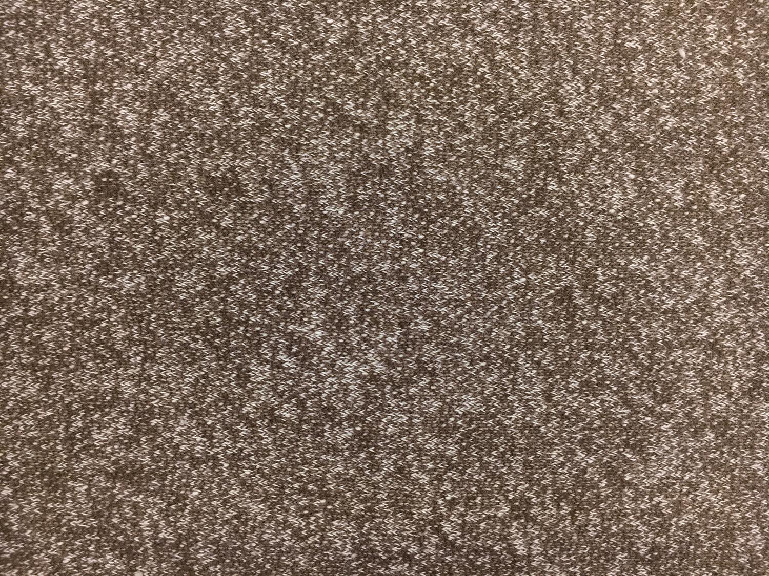 Large Loop Cotton French Terry Knit in Coffee1