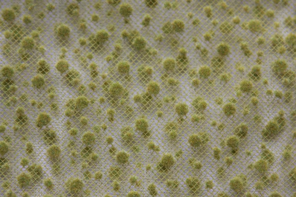 Flocking on Tulle3