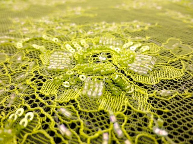 Beaded Chantilly Lace2