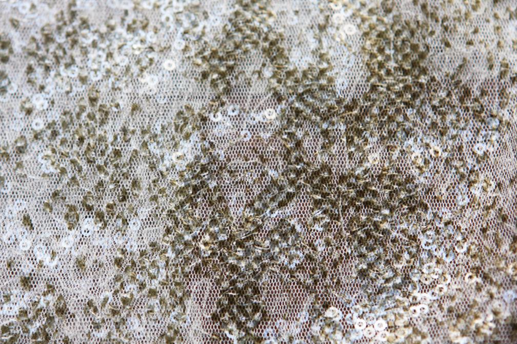 Printed Sequins on Tulle2