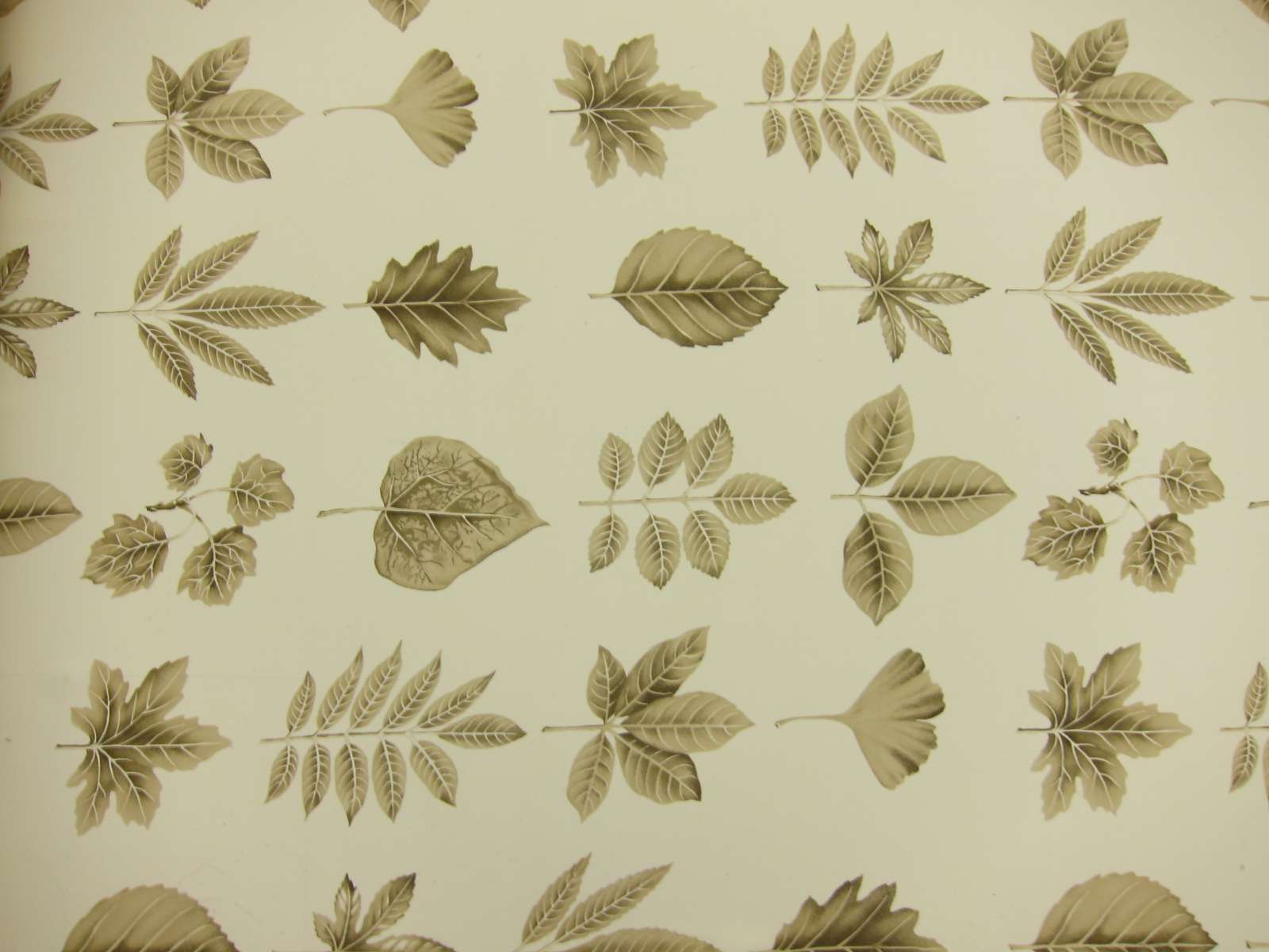 Printed Silk Georgette0