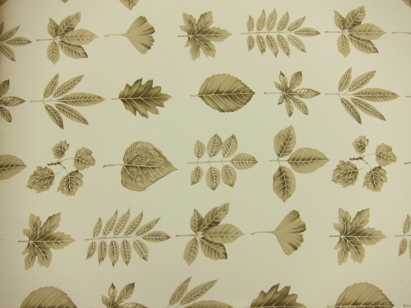 Printed Silk Georgette0