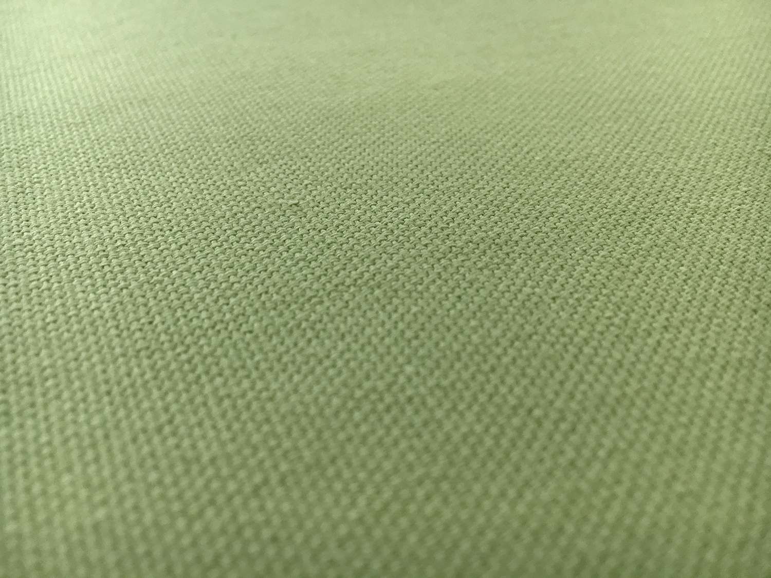 10.5oz Cotton Canvas in Fern0