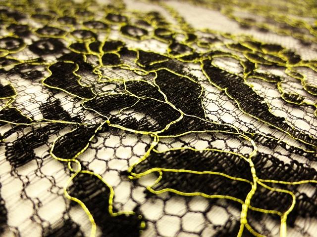 Metallic Chantilly Lace2