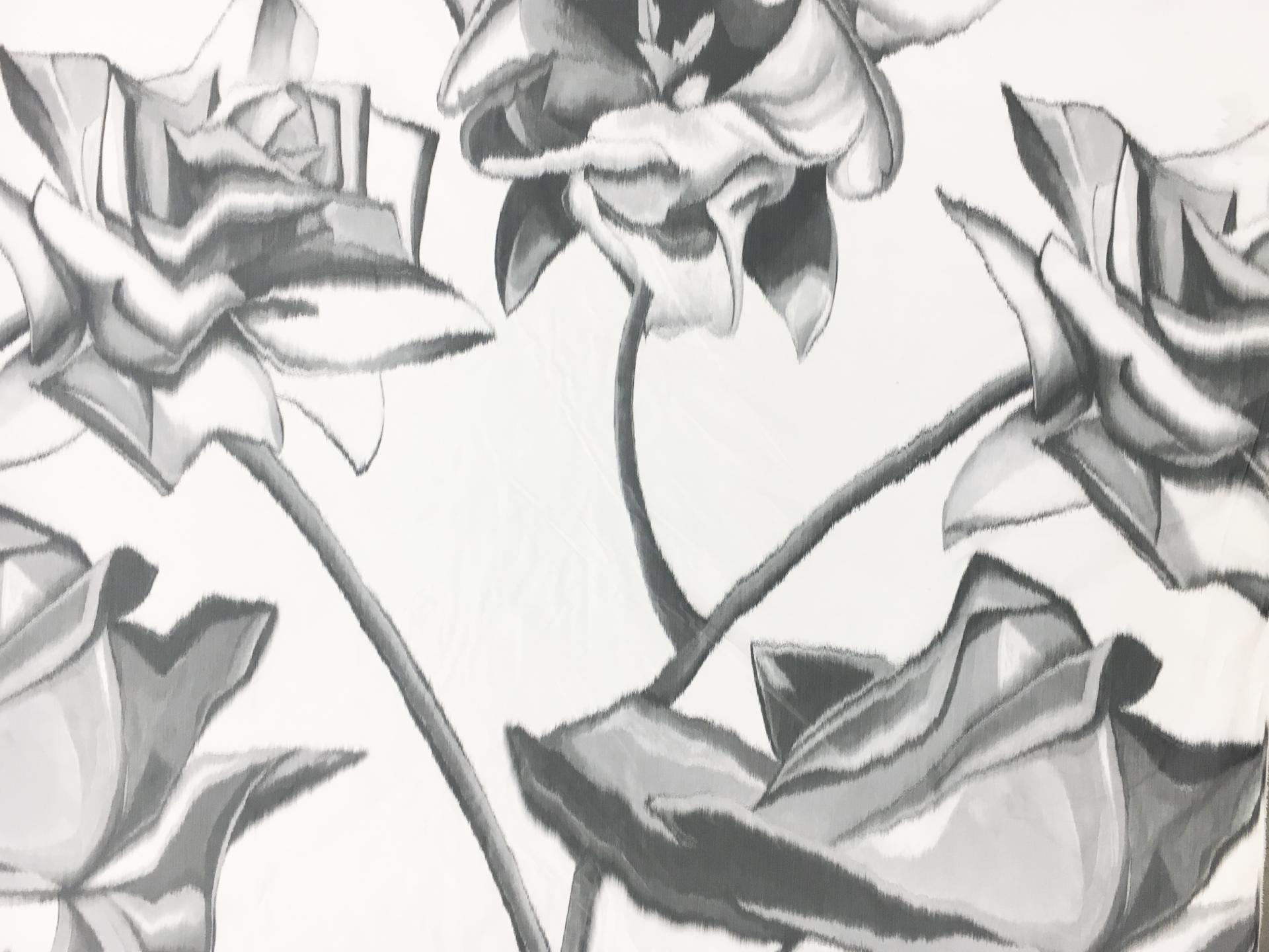 Tom Ford Warp Printed Silk Taffeta with Large Roses0