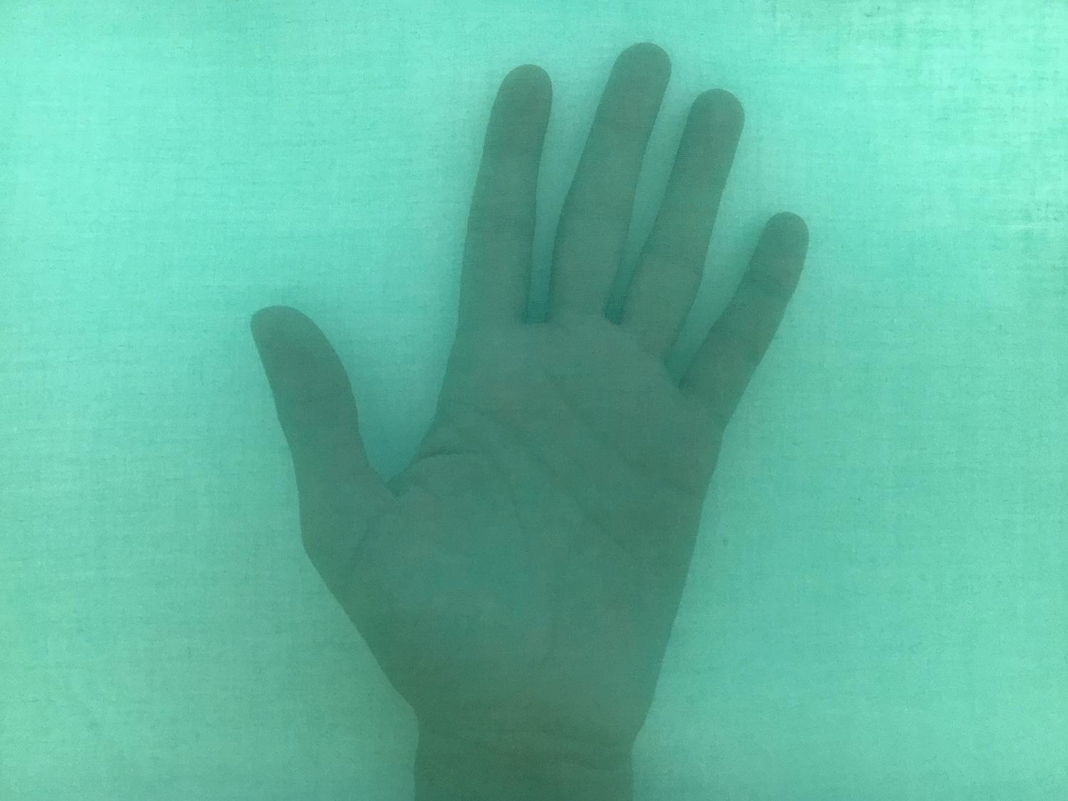 Swiss Cotton Organdy in Shamrock Green1