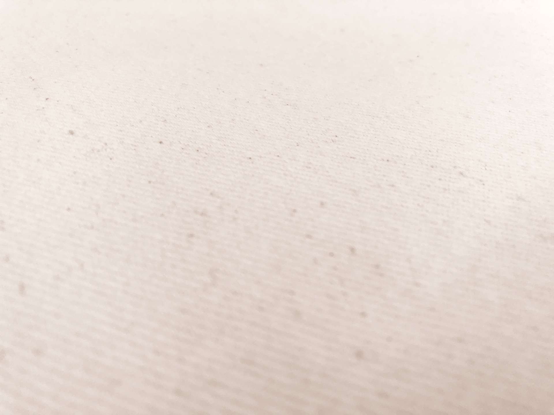 12oz Brushed Cotton Denim in Natural0