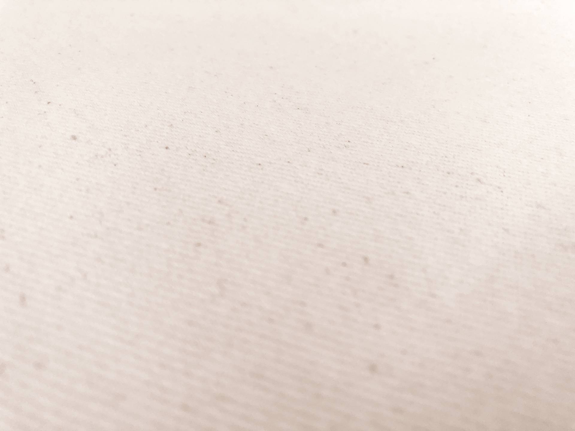 12oz Brushed Cotton Denim in Natural0