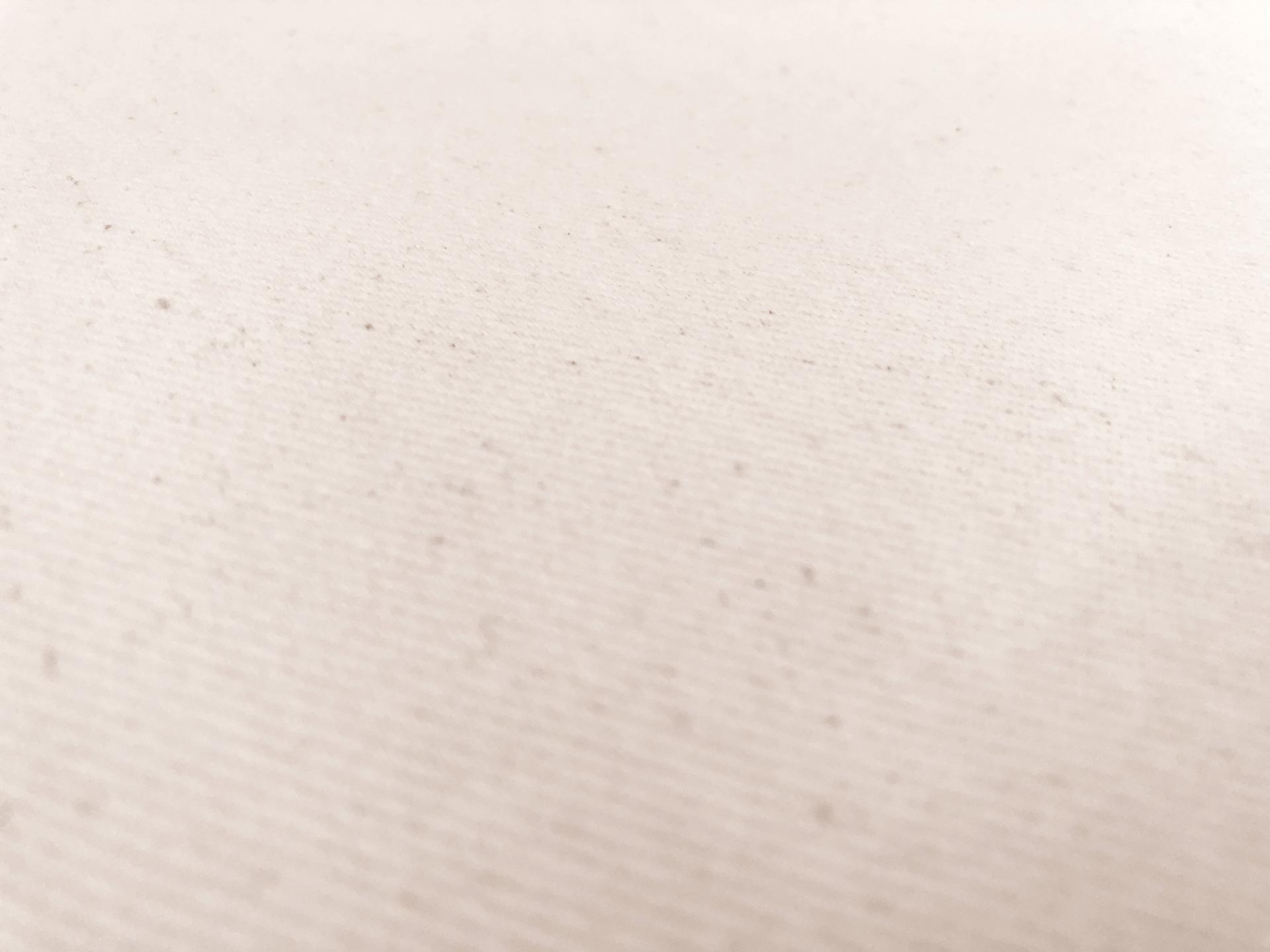 12oz Brushed Cotton Denim in Natural0