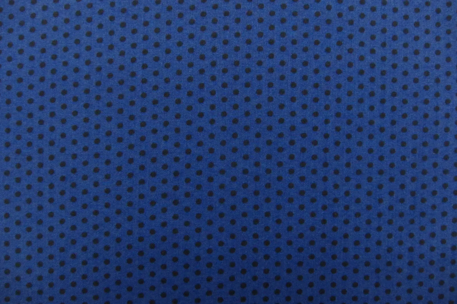 Cotton Broadcloth Print0