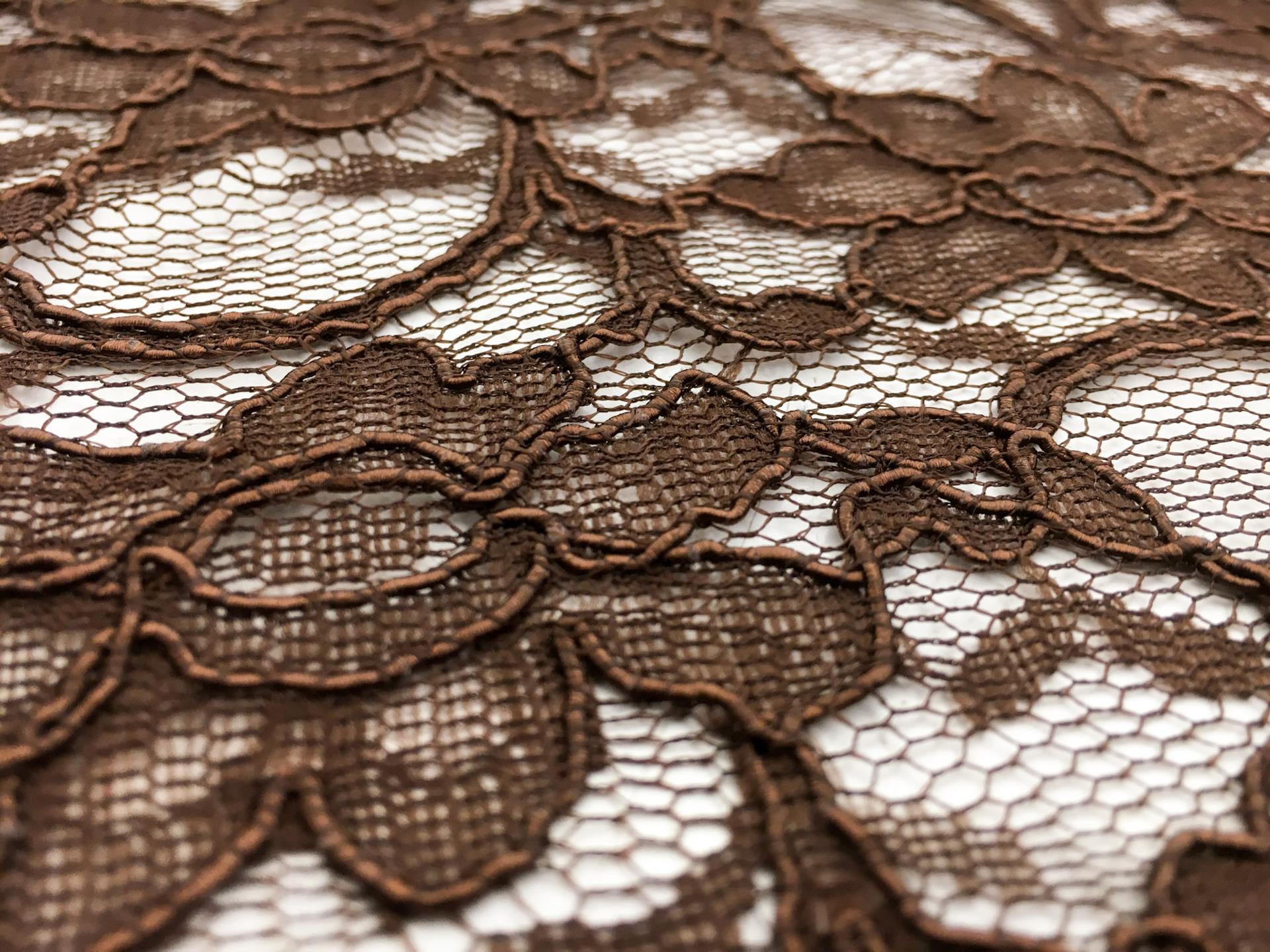 Xanna Embroidered Cotton and Nylon Lace2