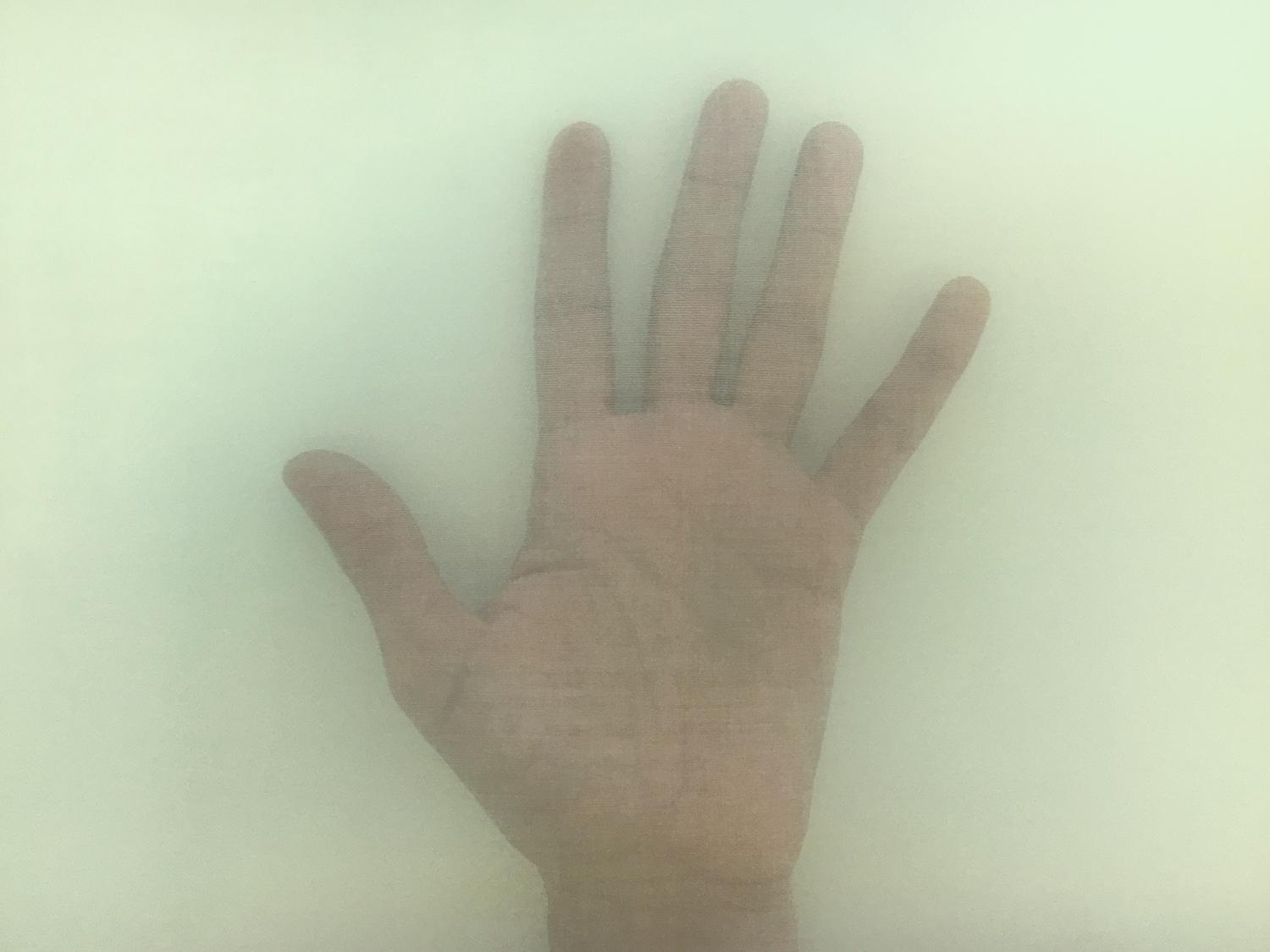 Swiss Cotton Organdy in Pastel Green1