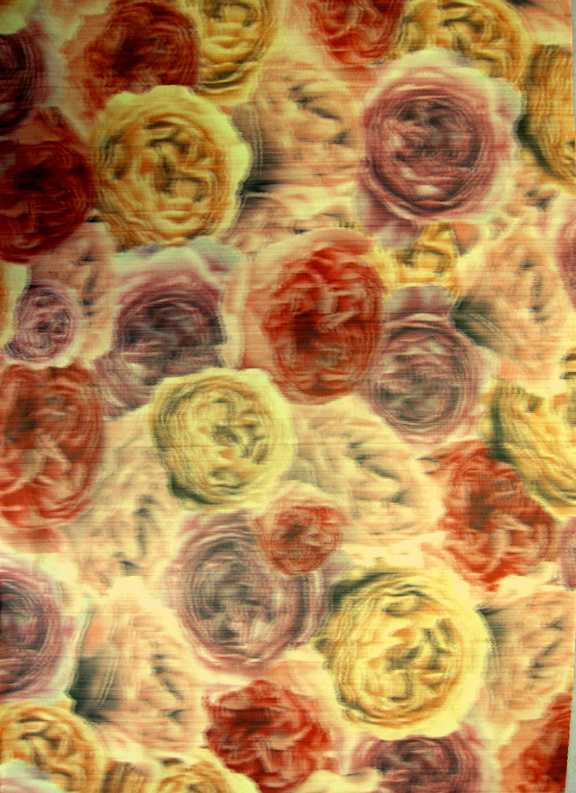 Warp Printed Iridescent Taffeta0