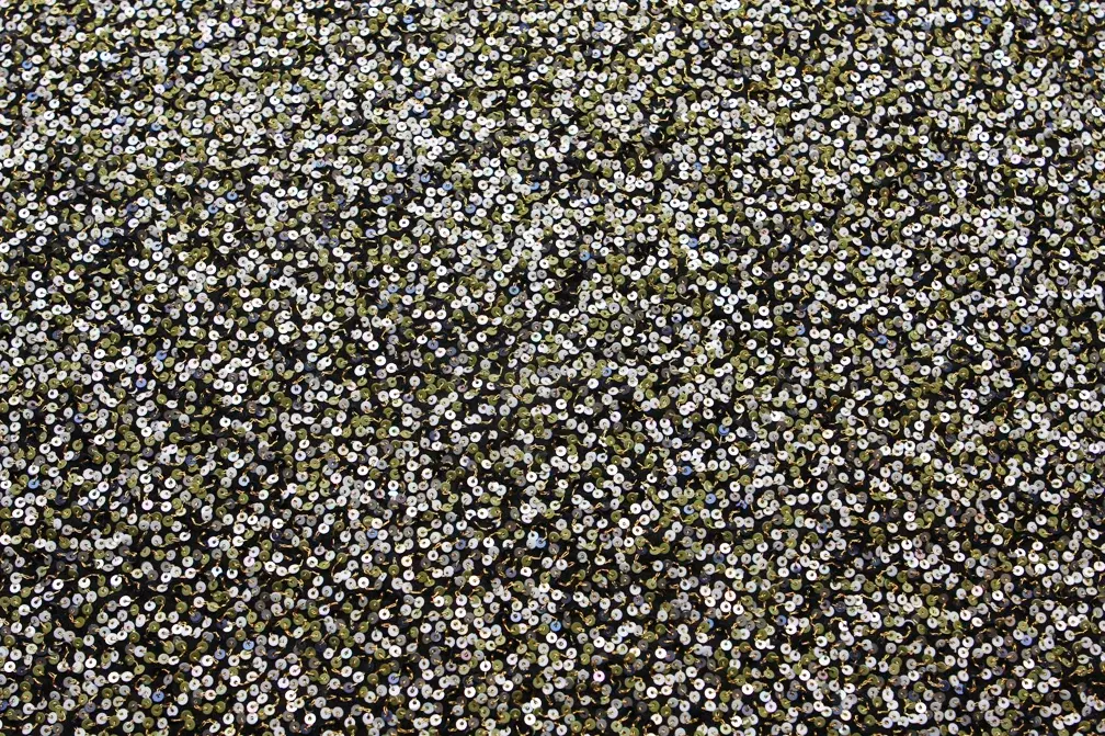 Sequins on Silk Chiffon0