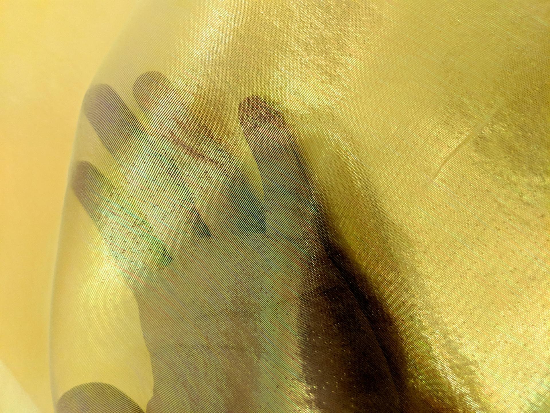 Sheer Opalescent Organza in Golden Yellow