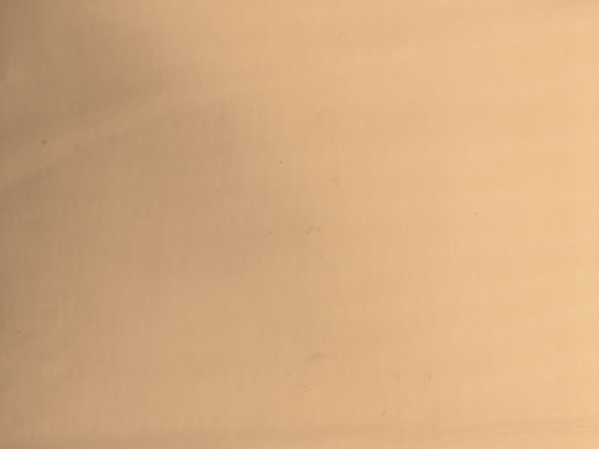 Italian Nylon Tulle in Carne