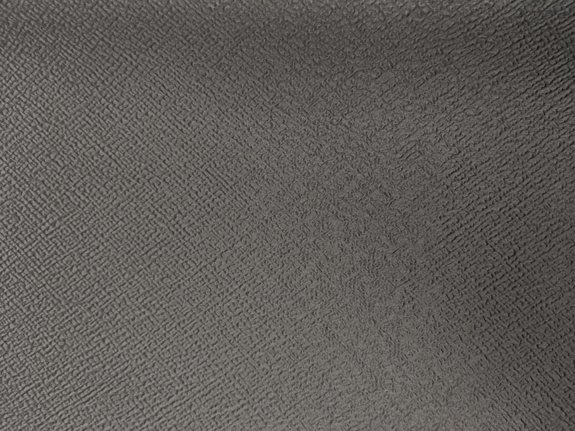 Swiss and Polyester Blend Metallic Cloqué