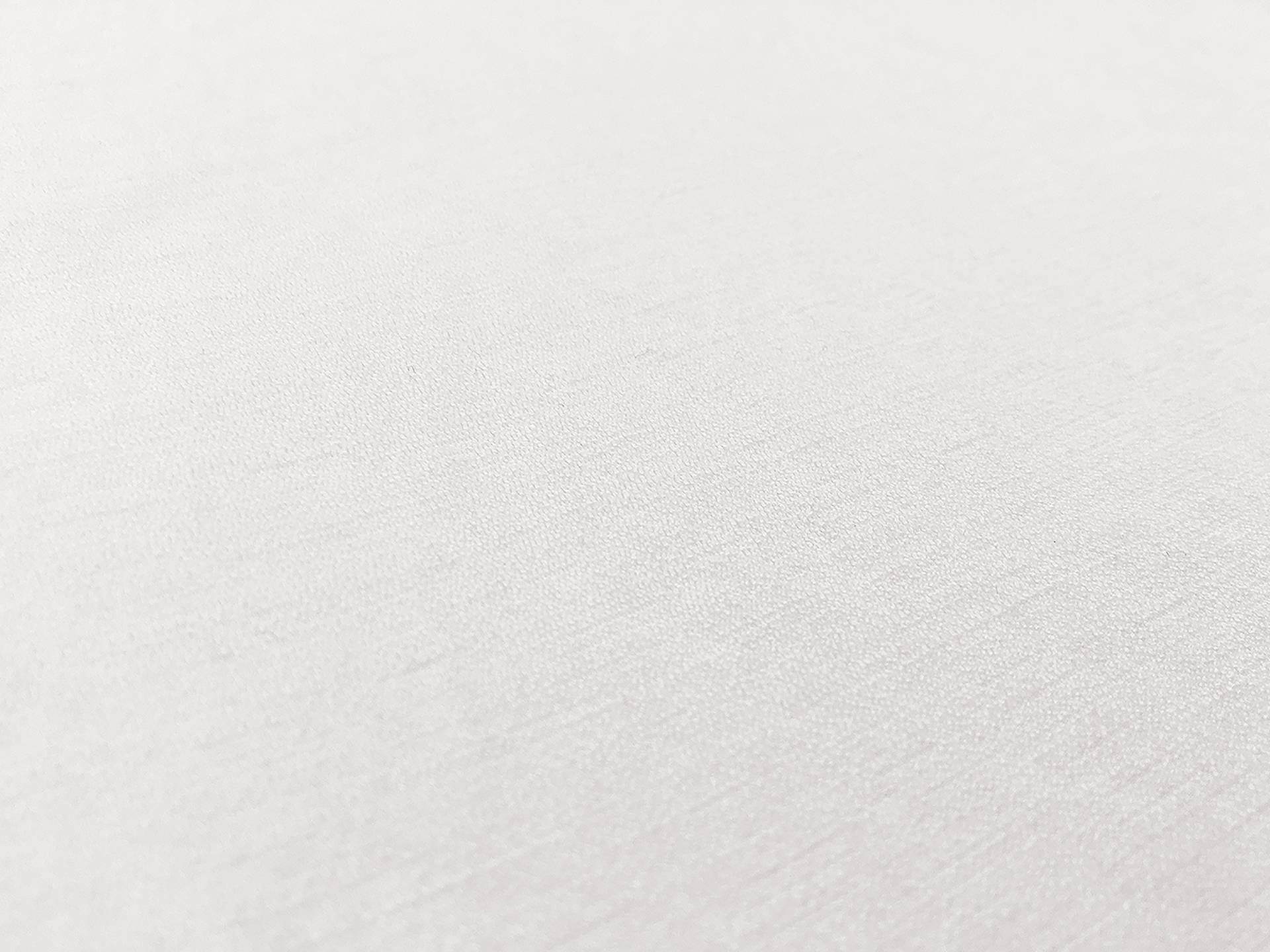 Rayon Nylon Crepe in Off White