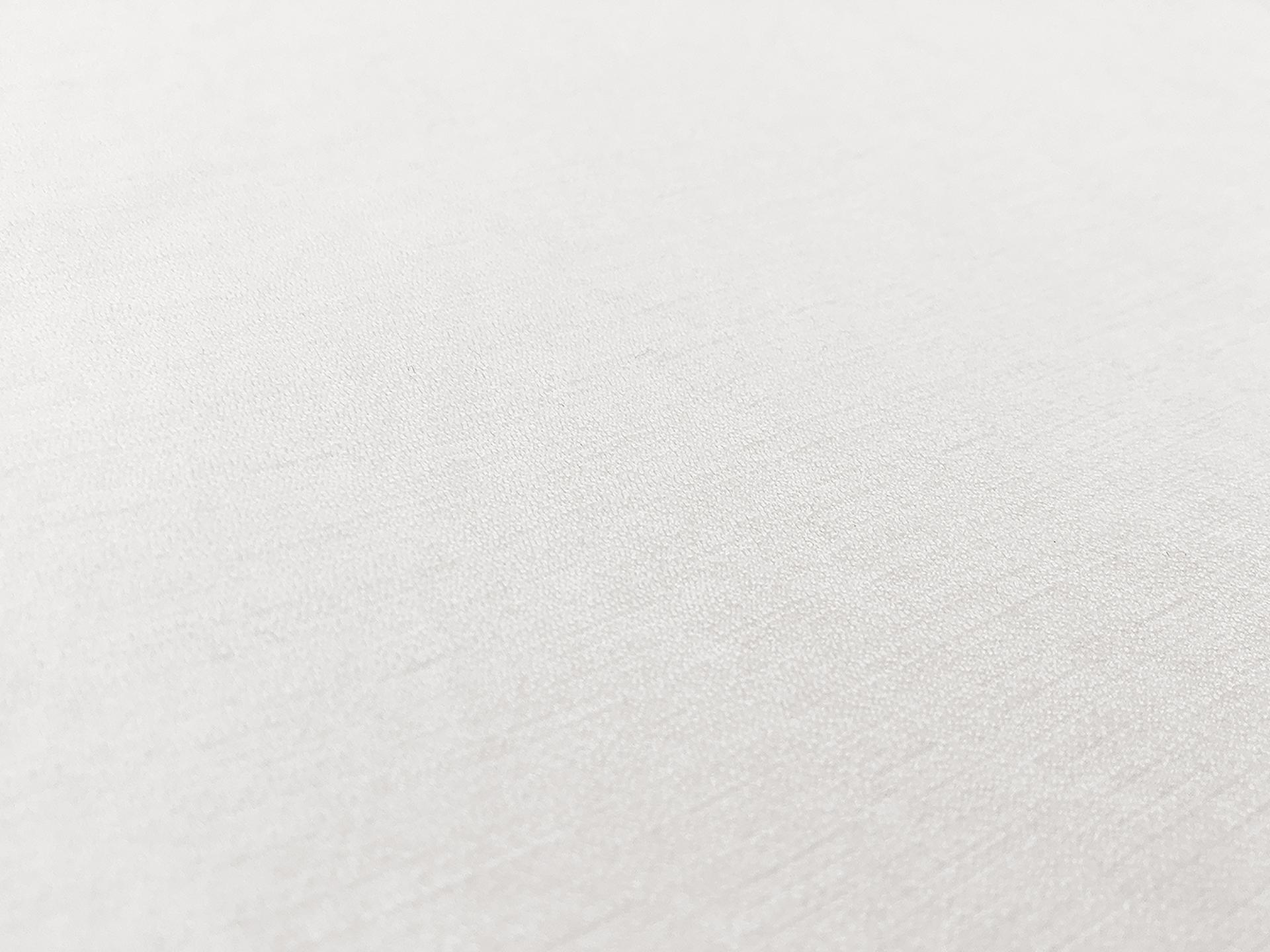 Rayon Nylon Crepe in Off White