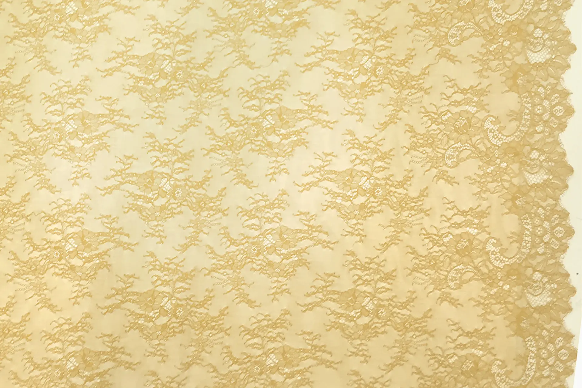 Chantilly Lace in Sand