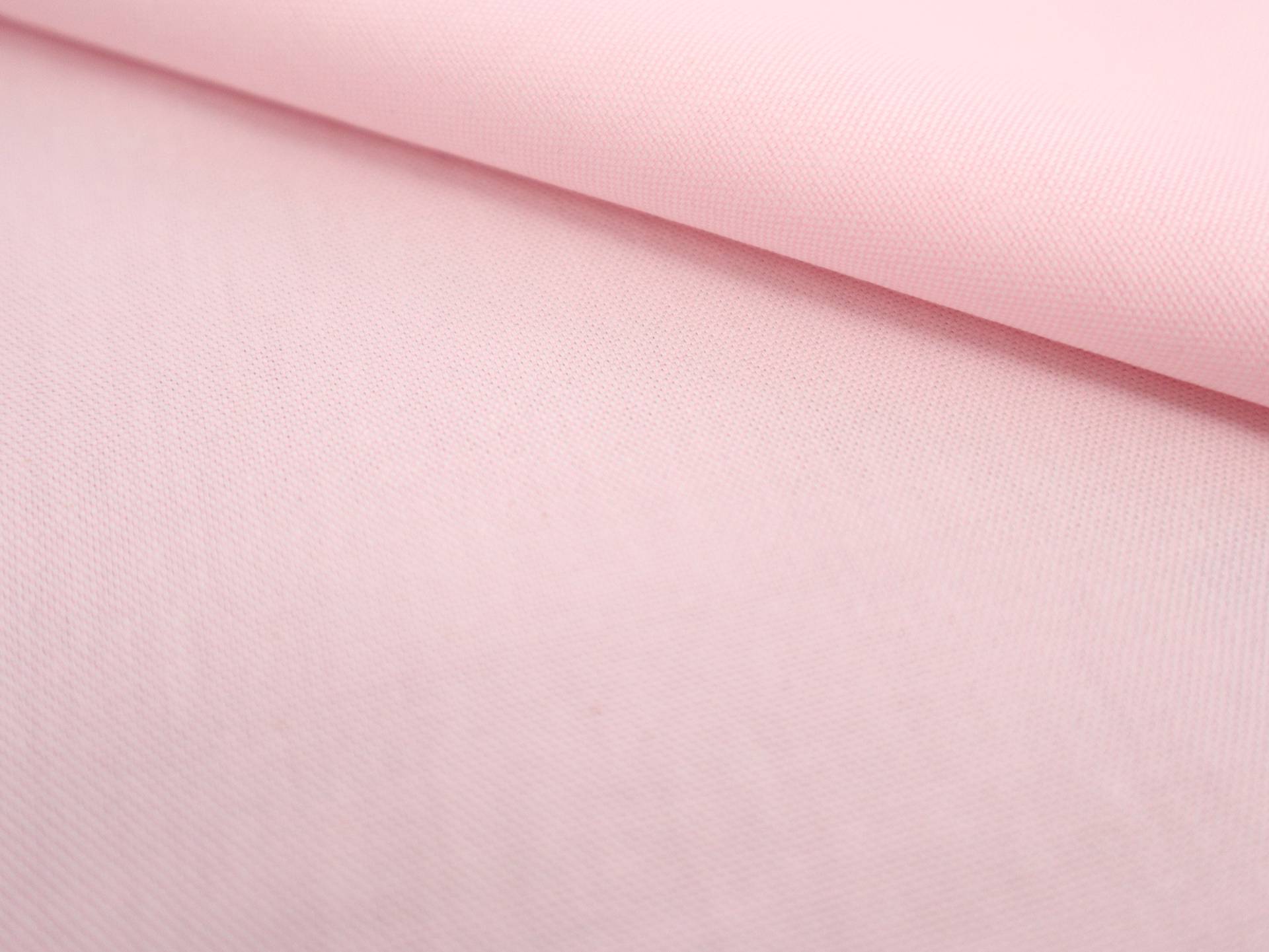 Pima Cotton Oxford in Carnation Pink